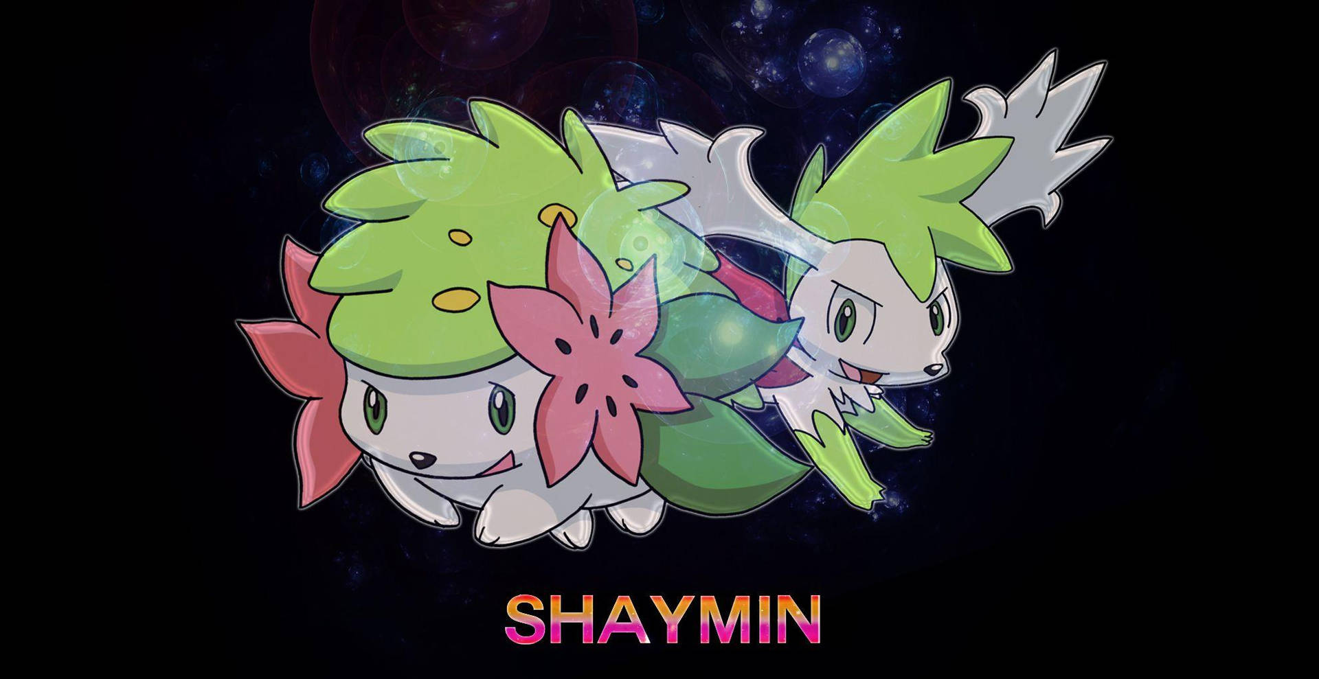 Shaymin With Name Background