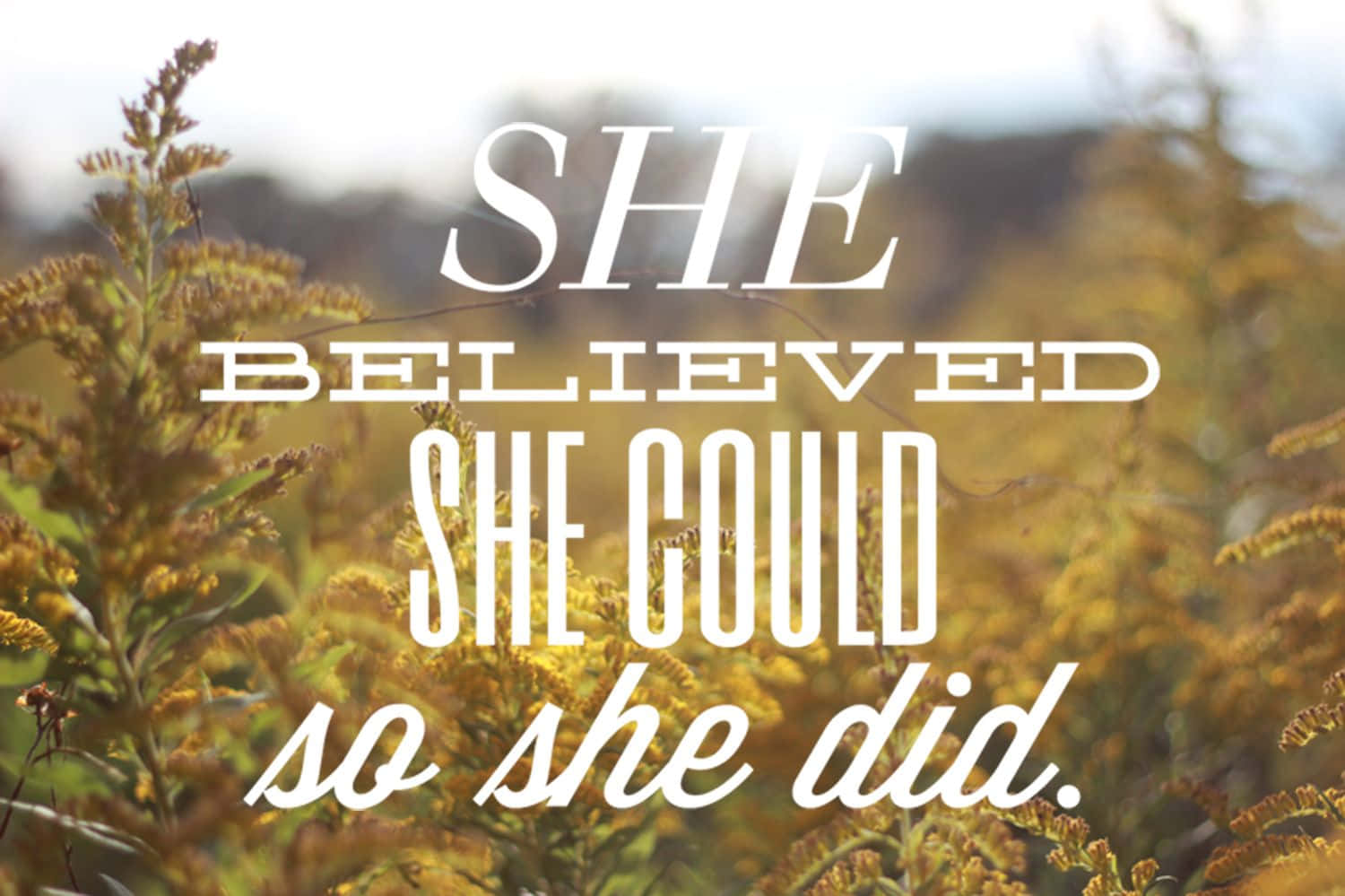 She Believed She Could So She Did Background