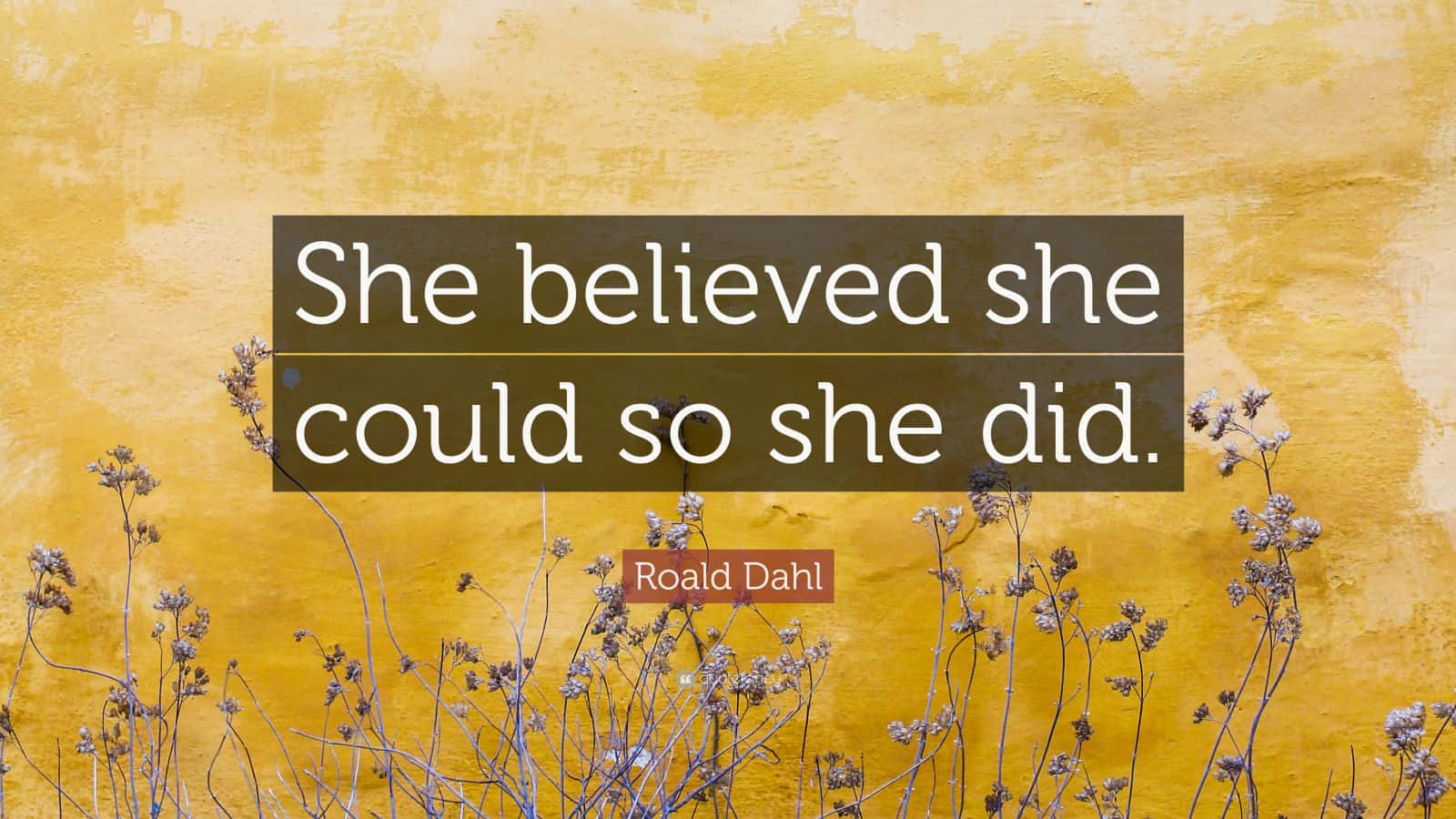 She Believed She Could So She Did Background