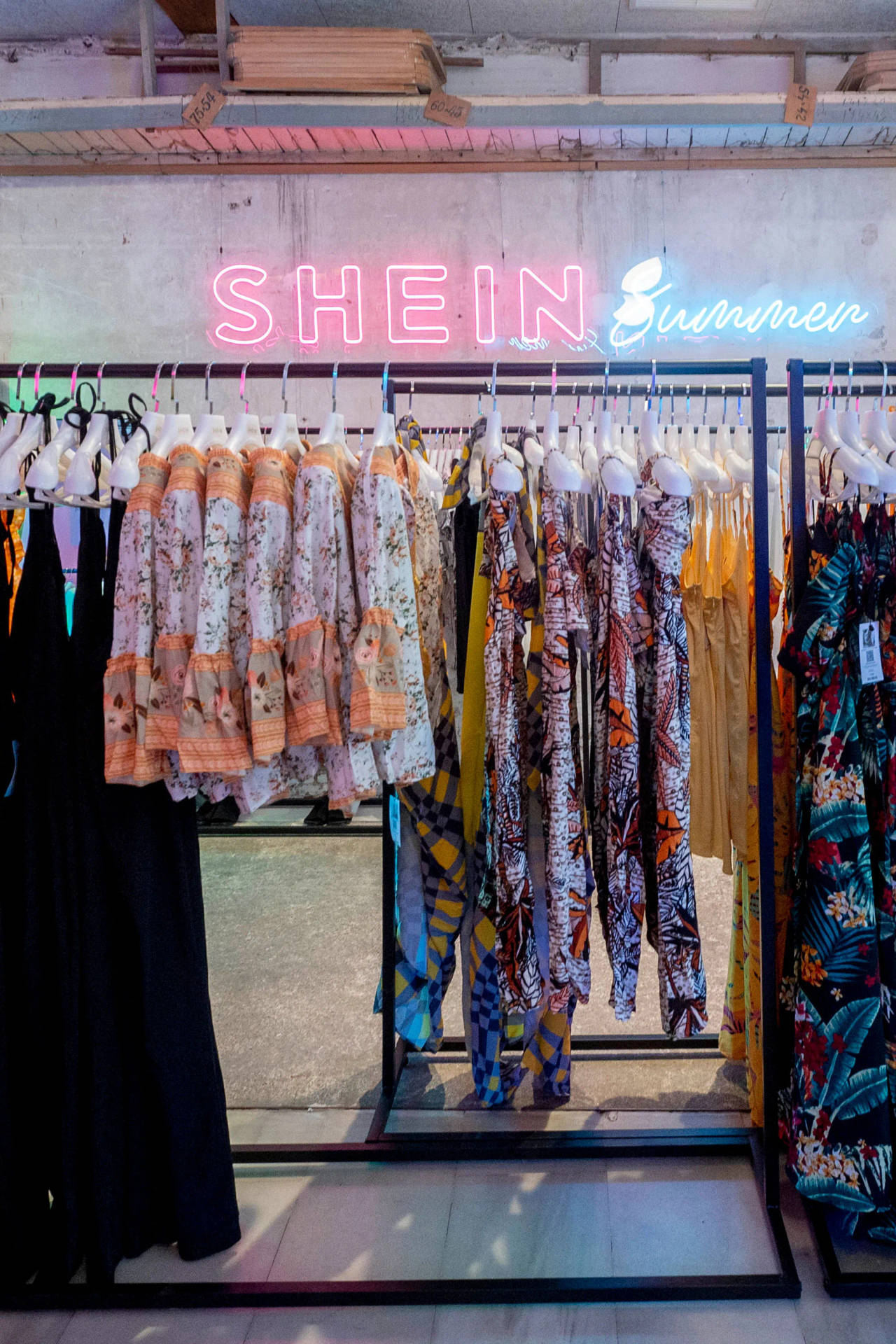 Shein Summer Collection Background