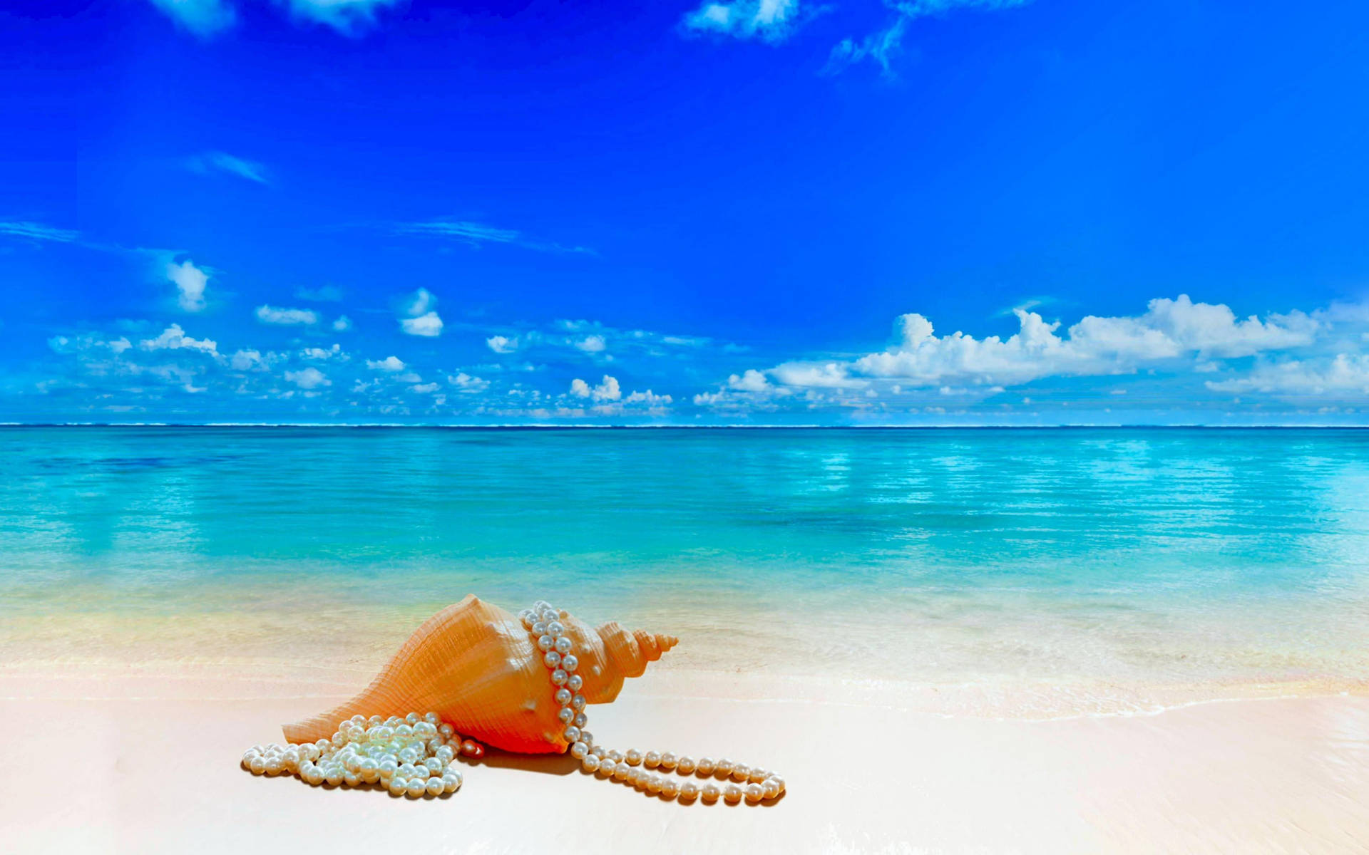 Shell And Pearls In Shore Background