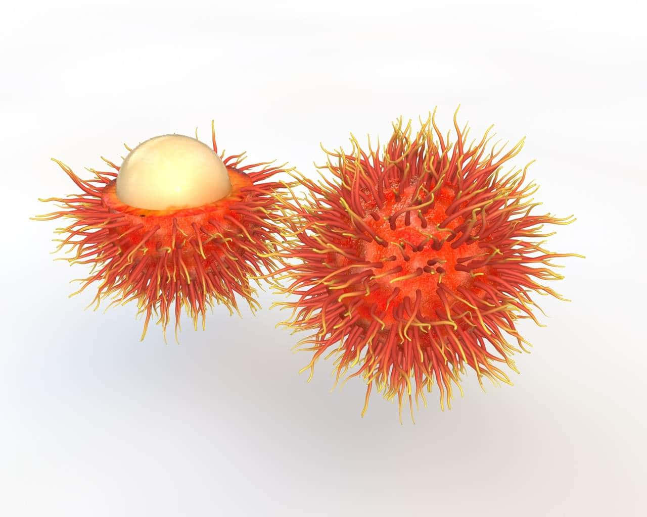 Shelled And Unshelled Pulasan Fruit