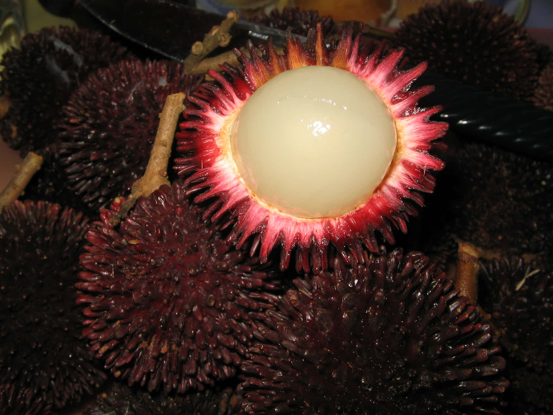 Shelled Ripe Pulasan Fruit