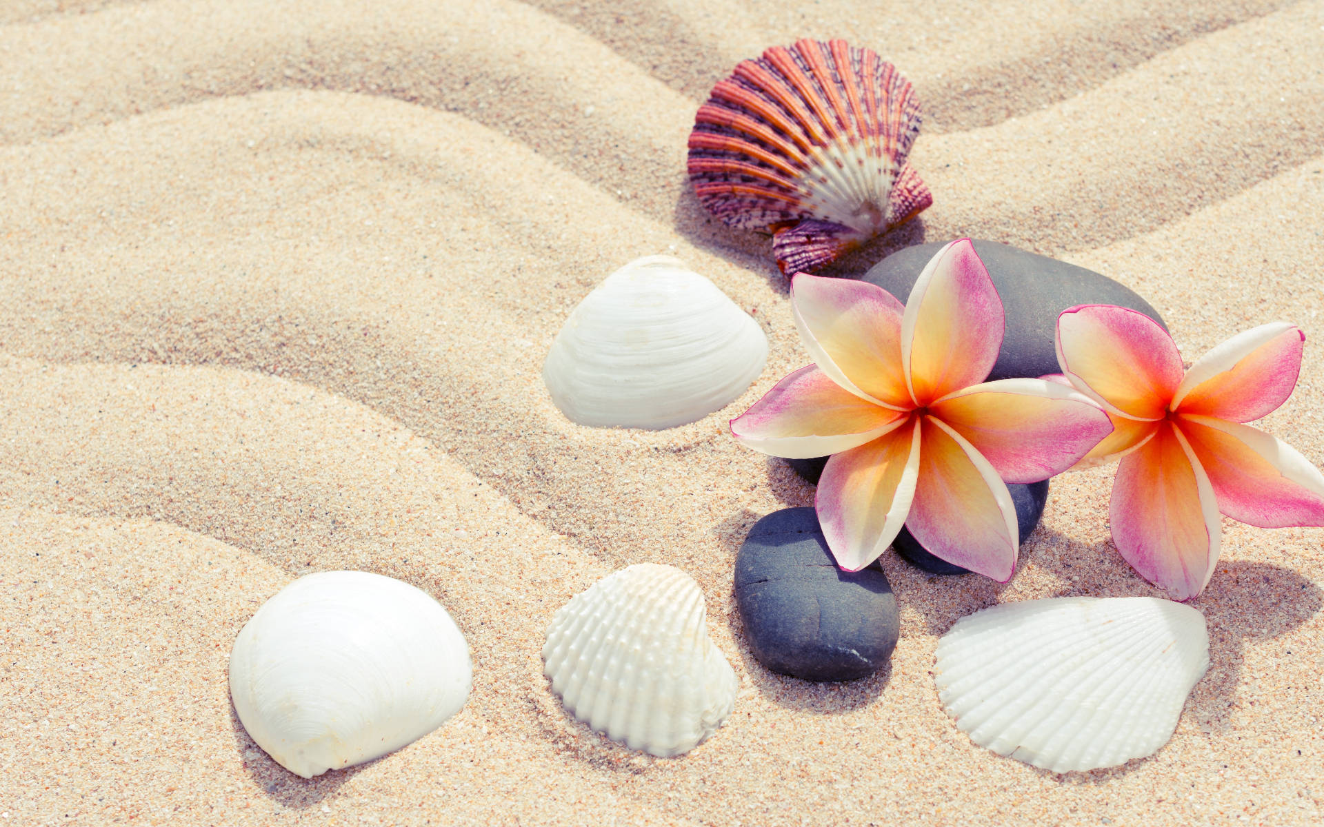Shells And Flowers On Sand Background