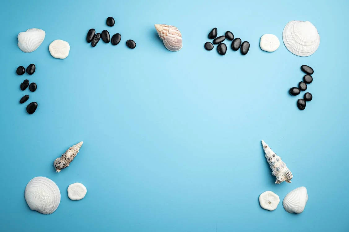 Shells And Pebbles Facebook Cover Background