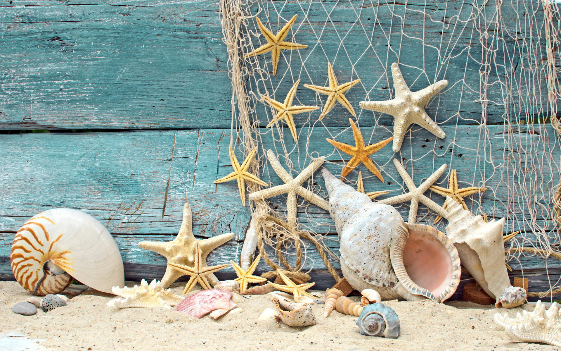 Shells And Starfish Decor Background