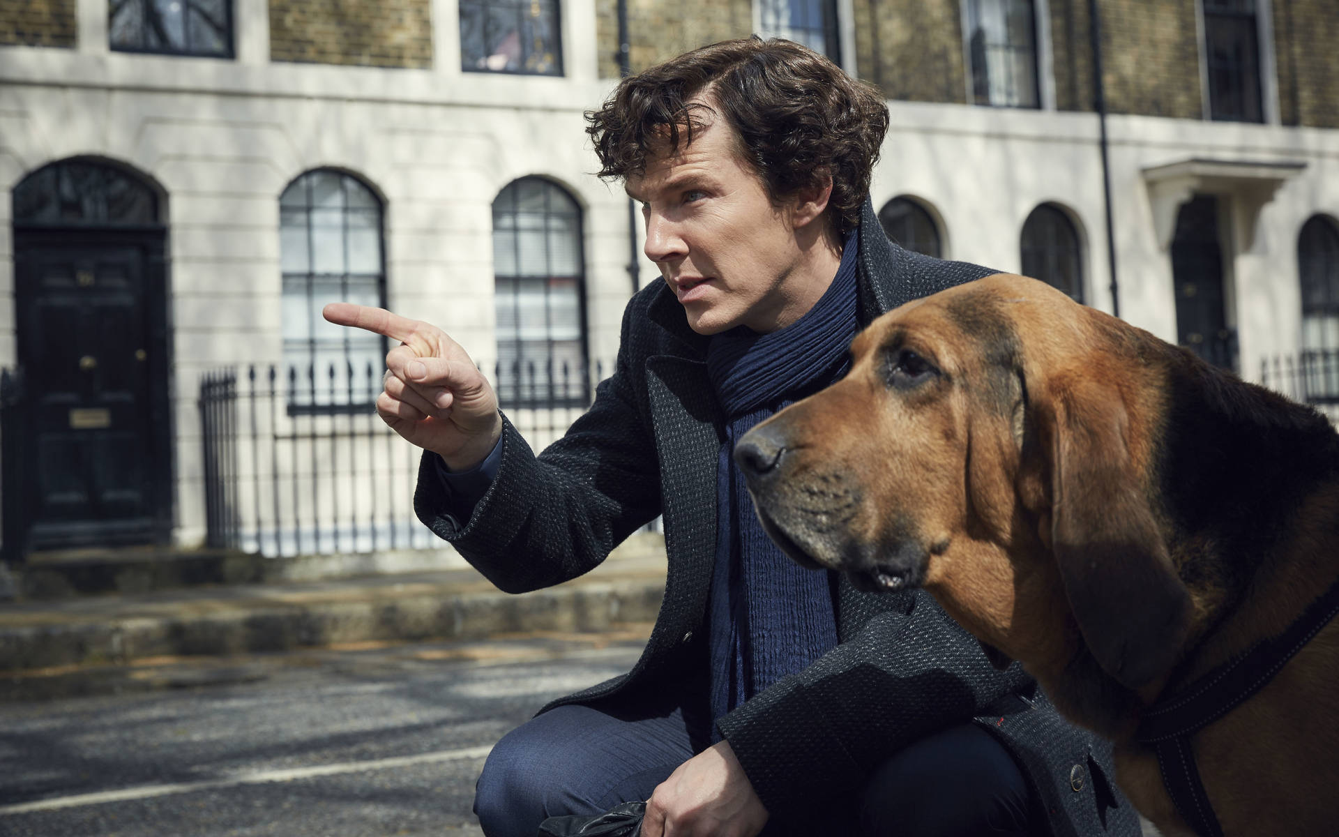 Sherlock With Dog Background