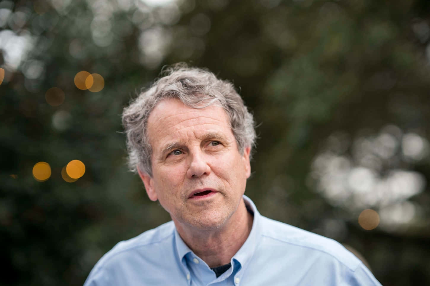 Sherrod Brown Outdoor Rally Background