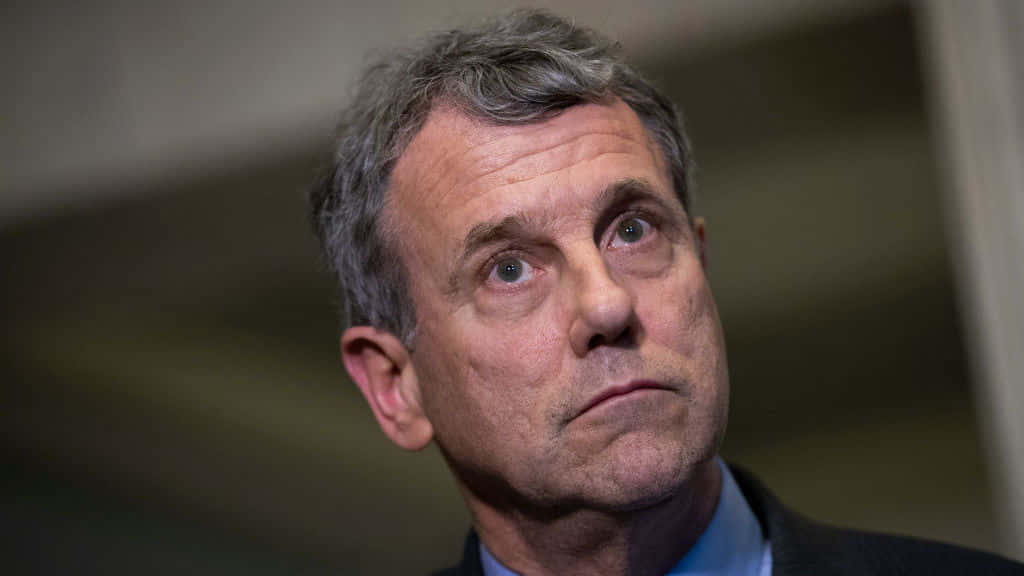 Sherrod Brown Suprised Background