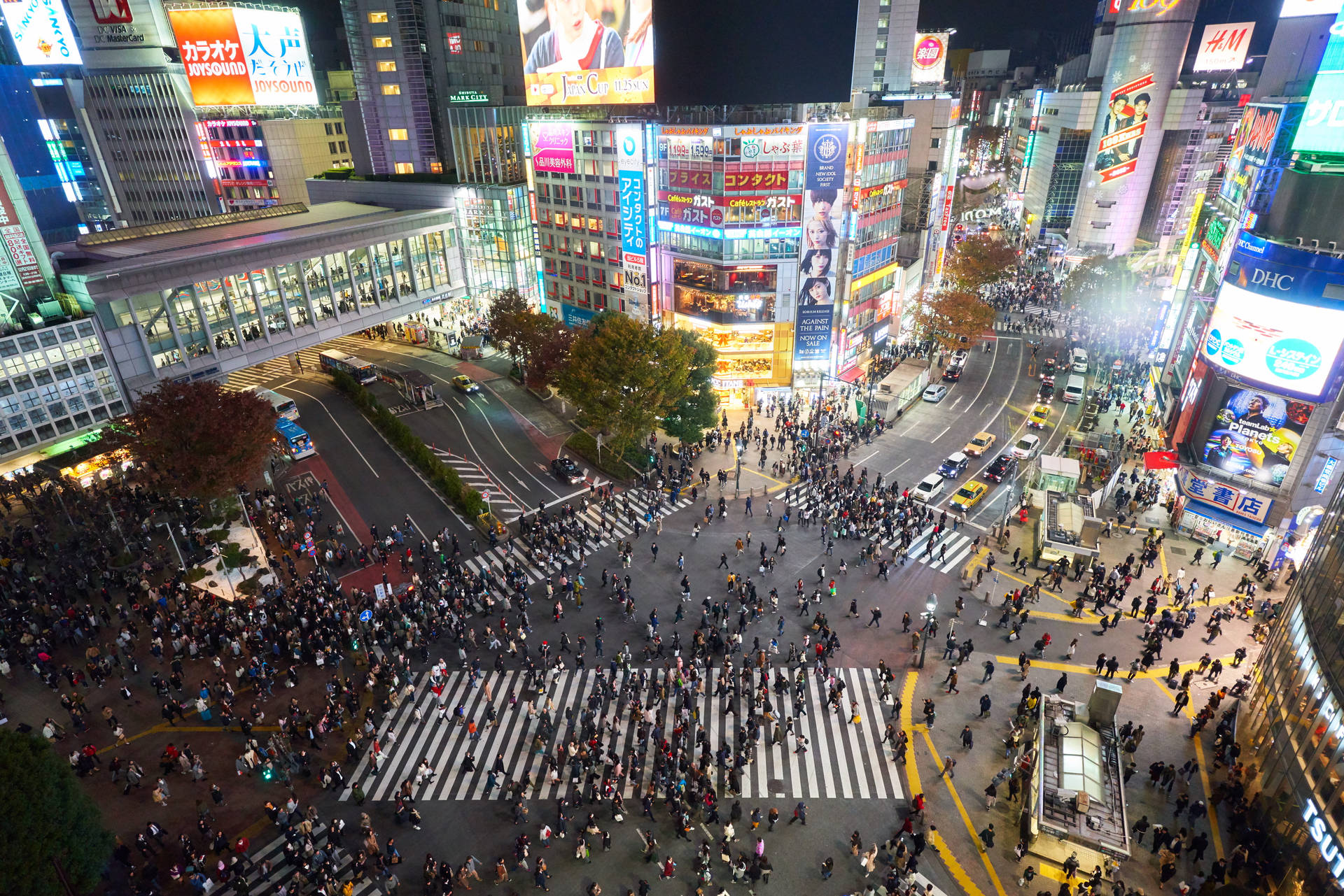 Shibuya Crossing Japan 4k