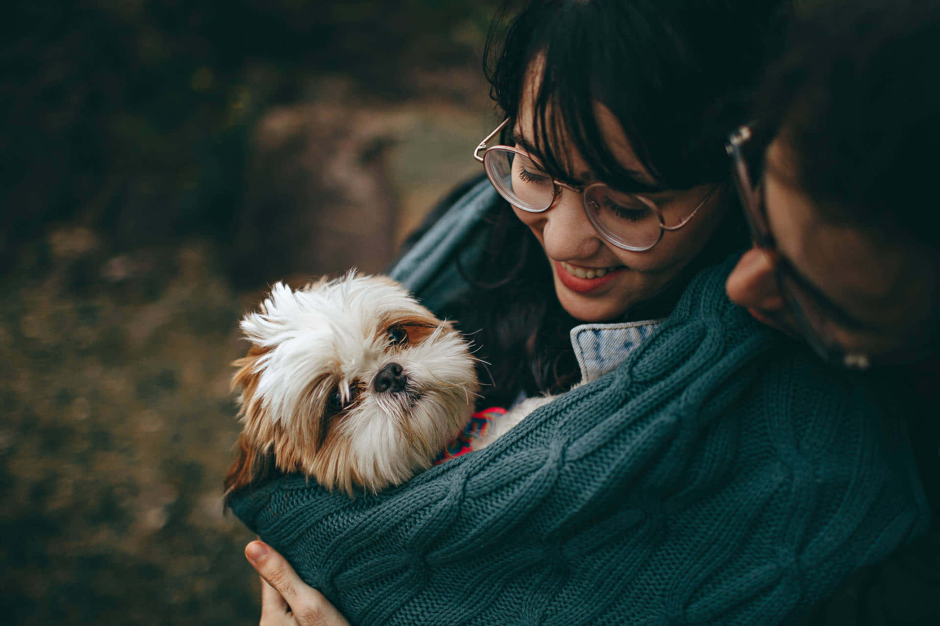 Shih Tzu Carried Like A Baby