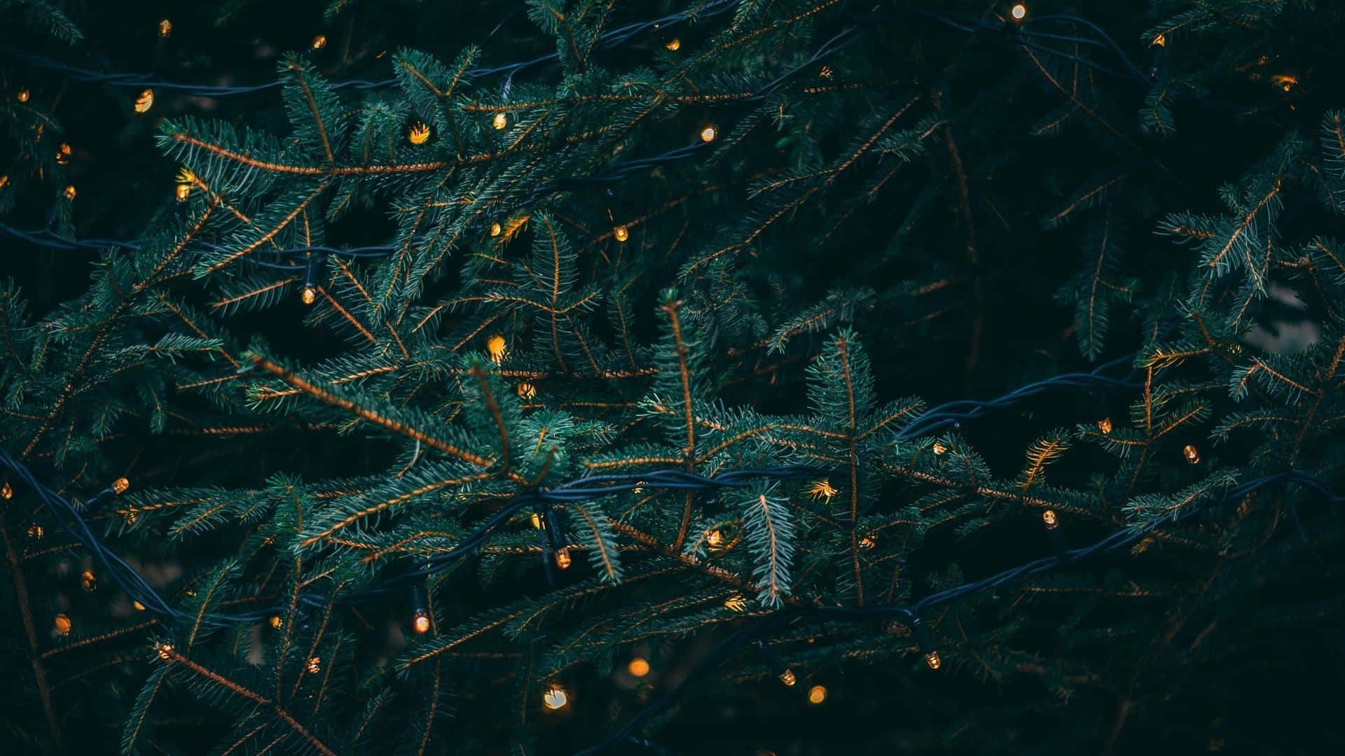 Shimmering Christmas Aesthetic Computer Desktop Background Background