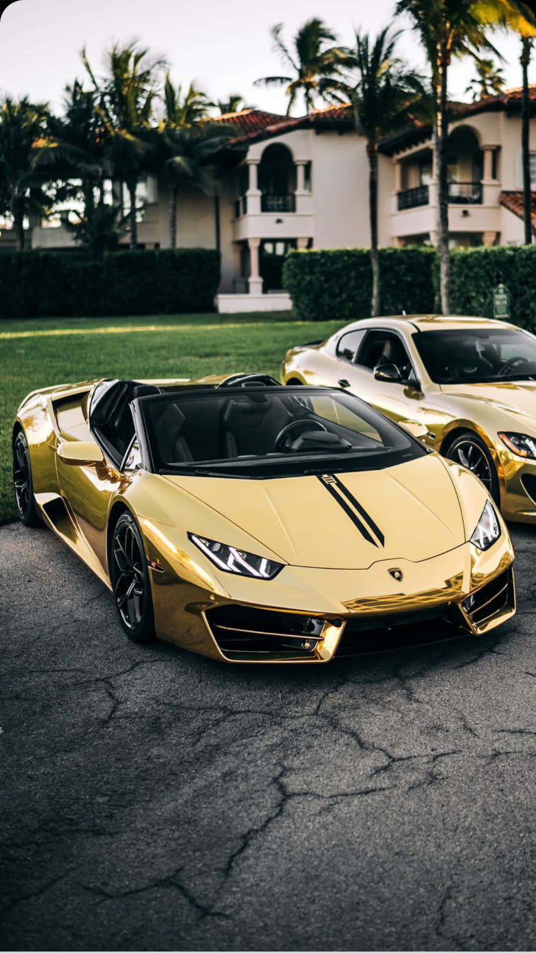 Shine Bright Like A Gold Lamborghini