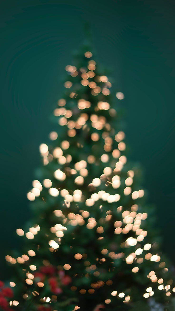 Shine Bright This Christmas Background