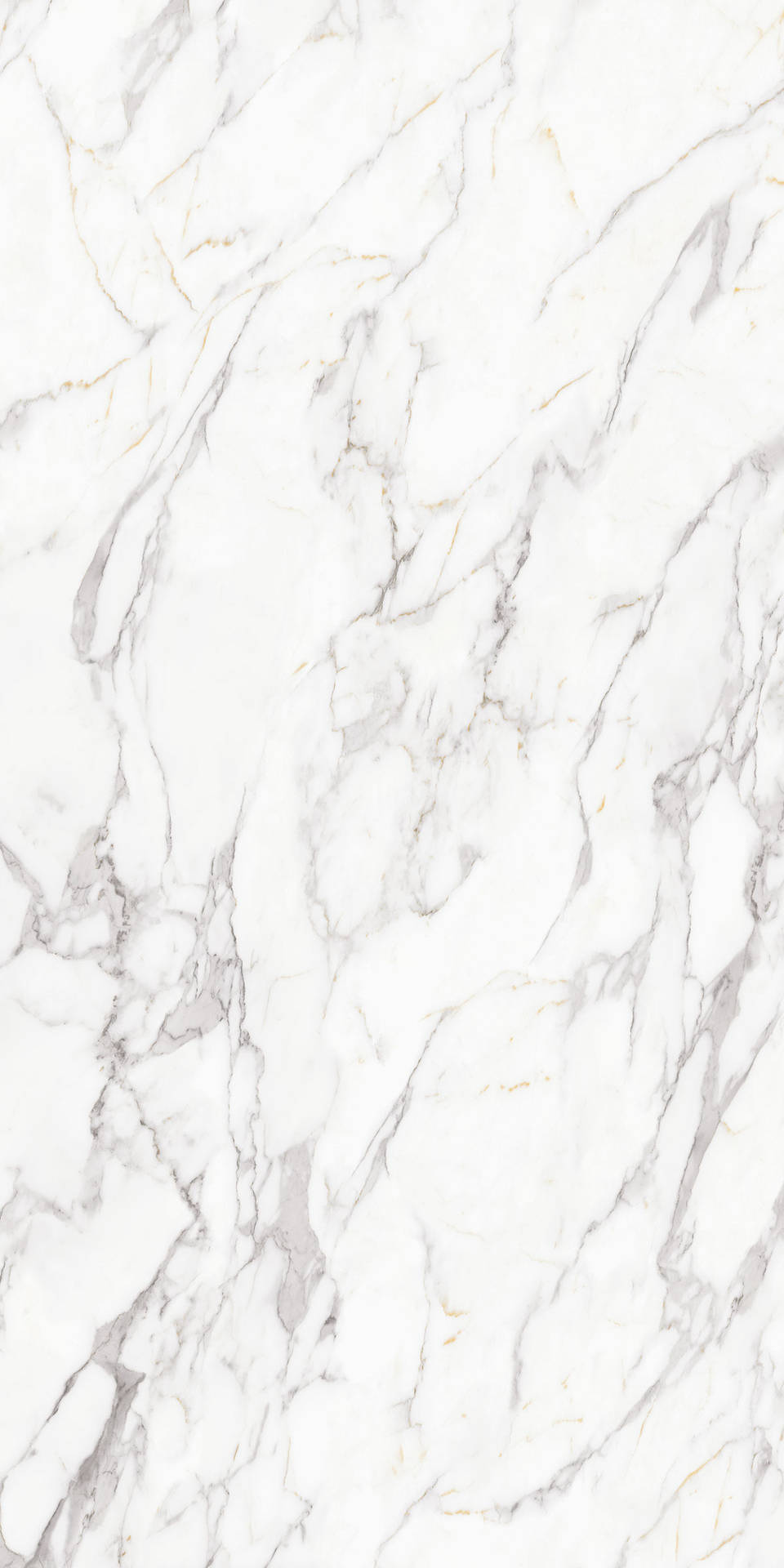 Shine Bright With White Marble Patterns. Background