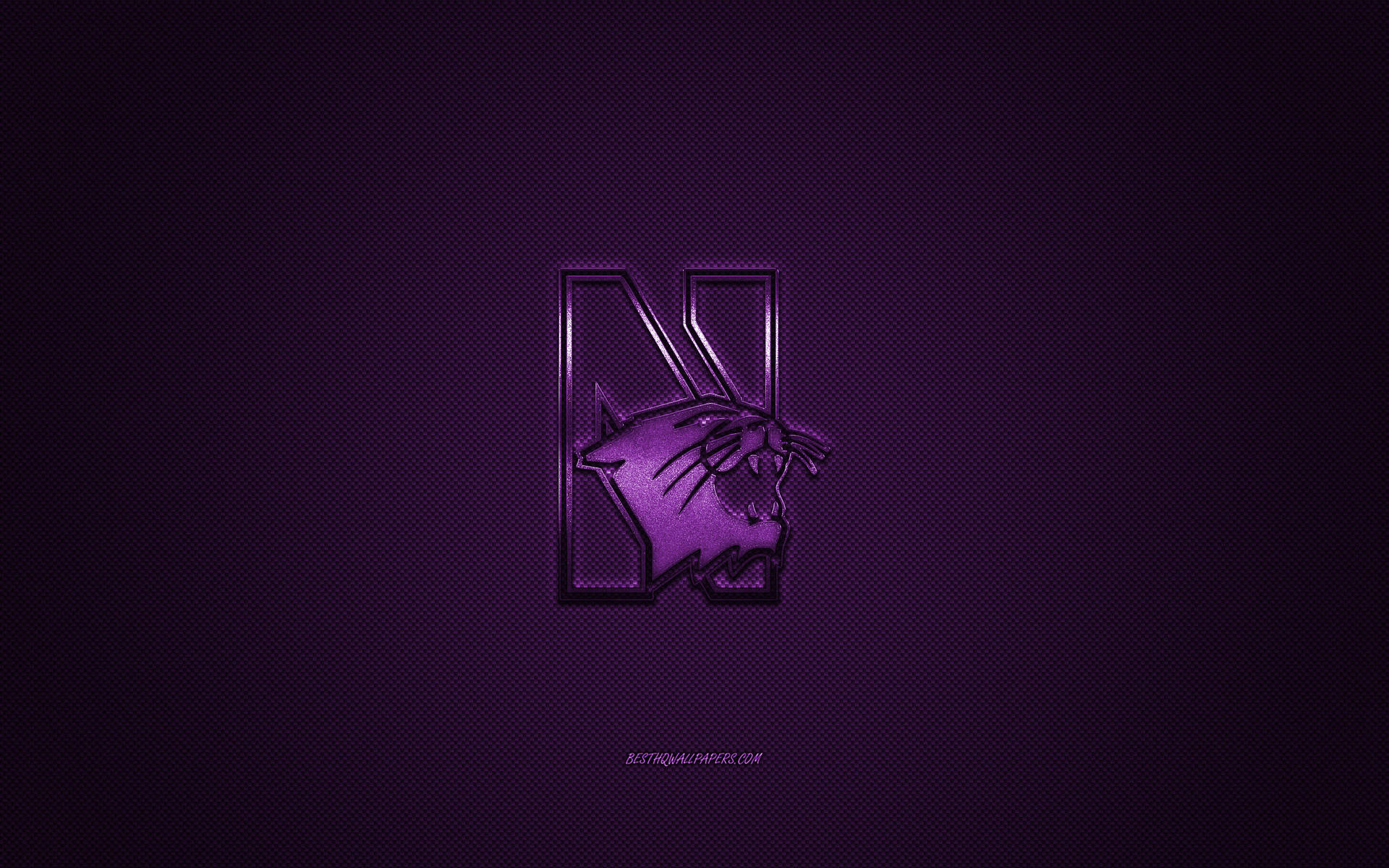 Shining Northwestern University Wildcats Logo