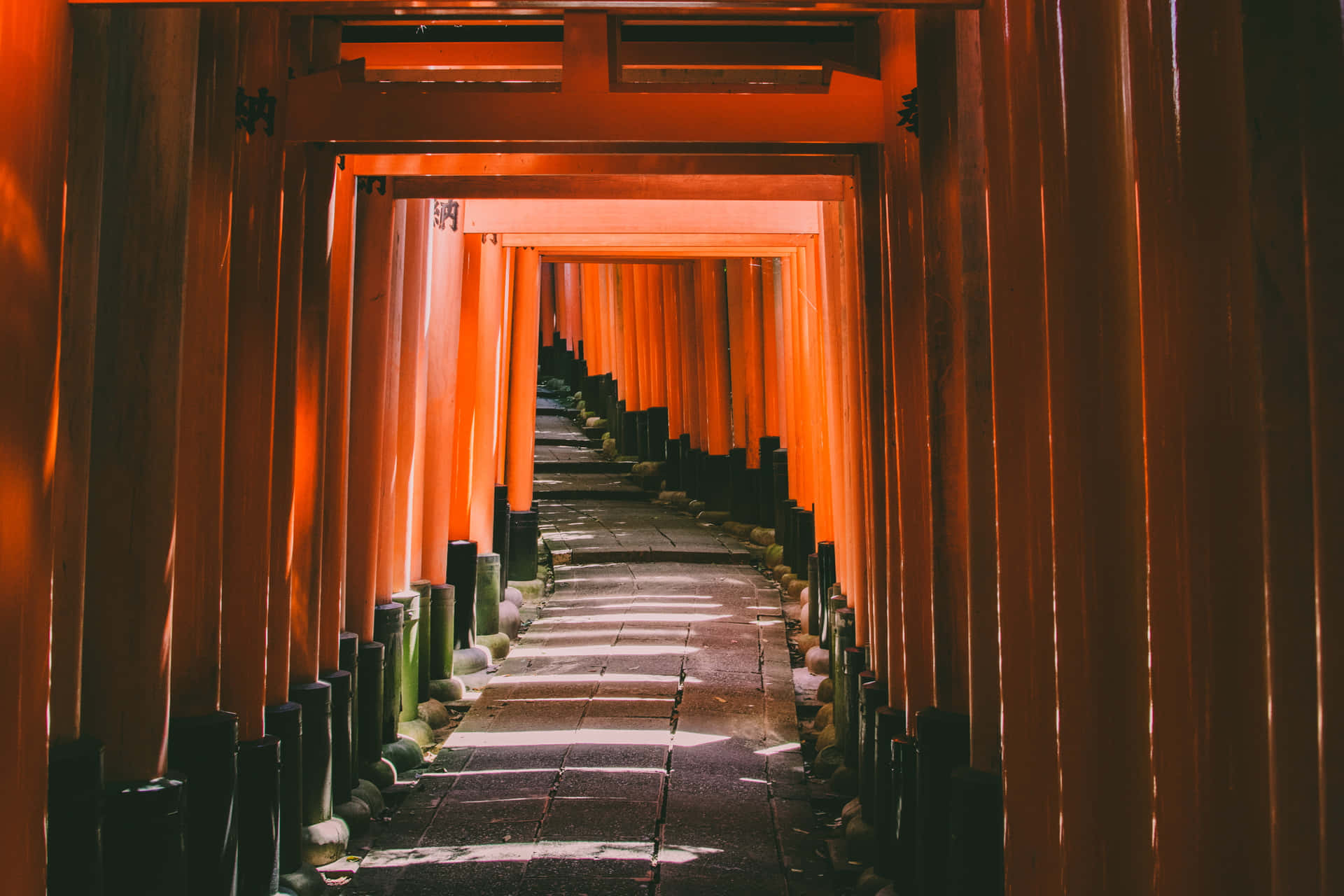 Shinto Shrine Trails Lead Into Forest