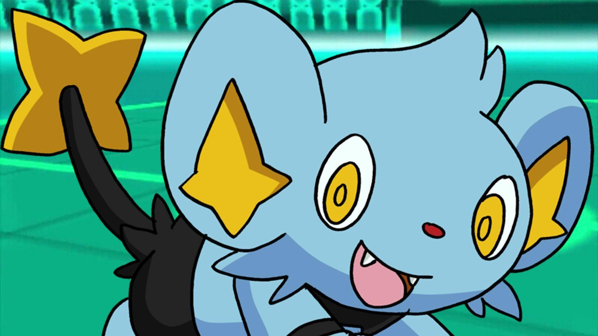 Shinx Happy In Battlefield