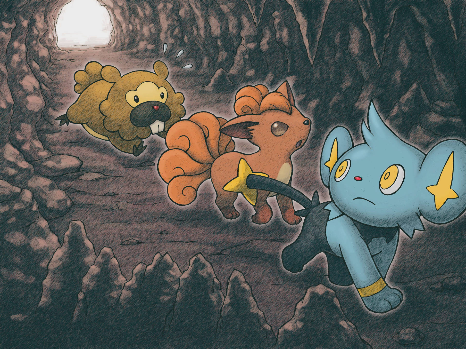 Shinx Vulpix Bidoof Inside Cave Background