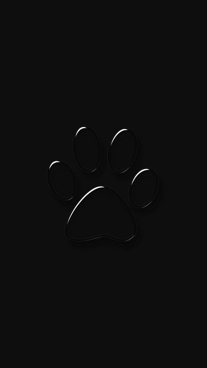 Shiny Black Paw Print Background