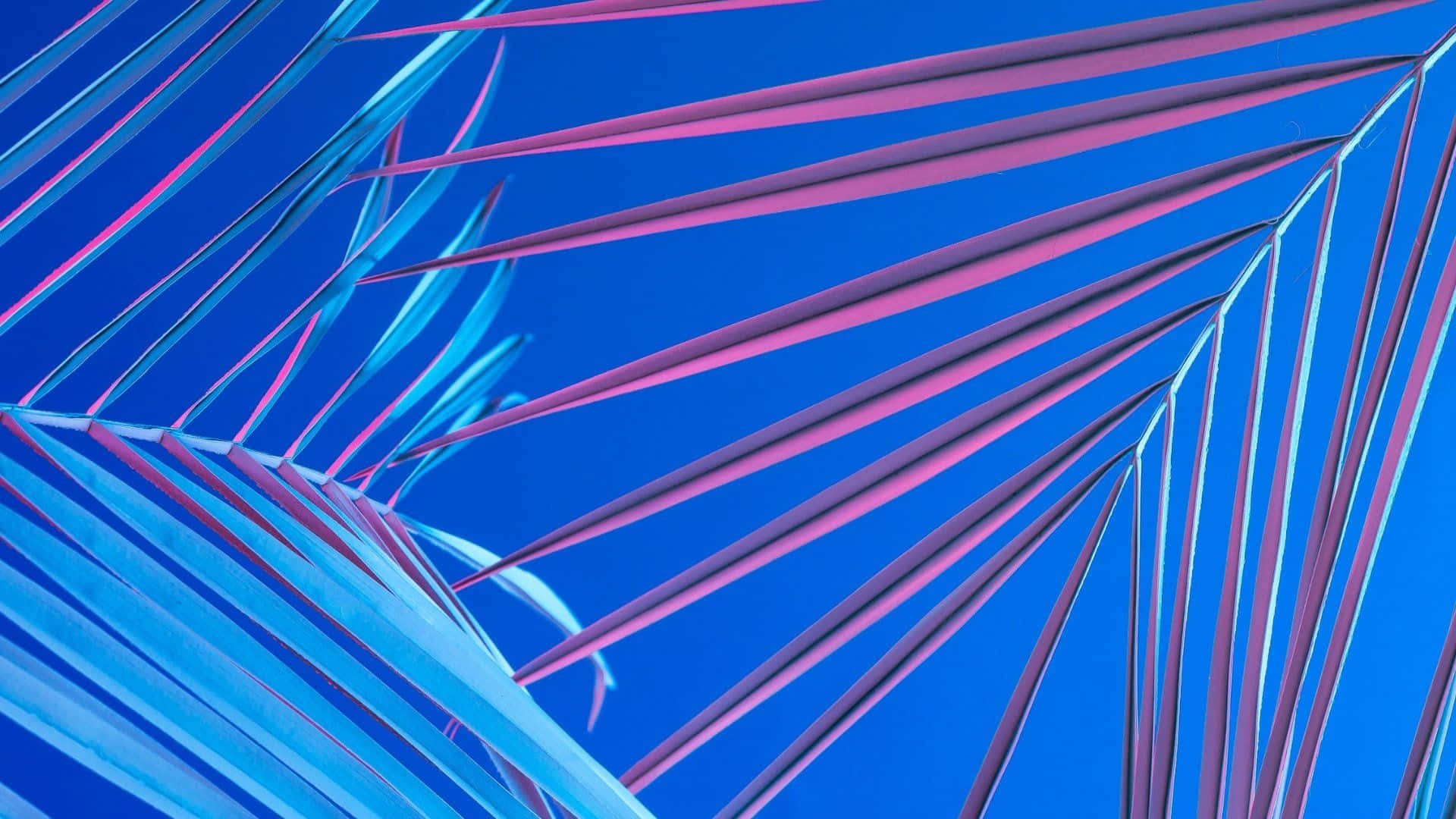 Shiny Blue Things Illuminated On Dark Background Background