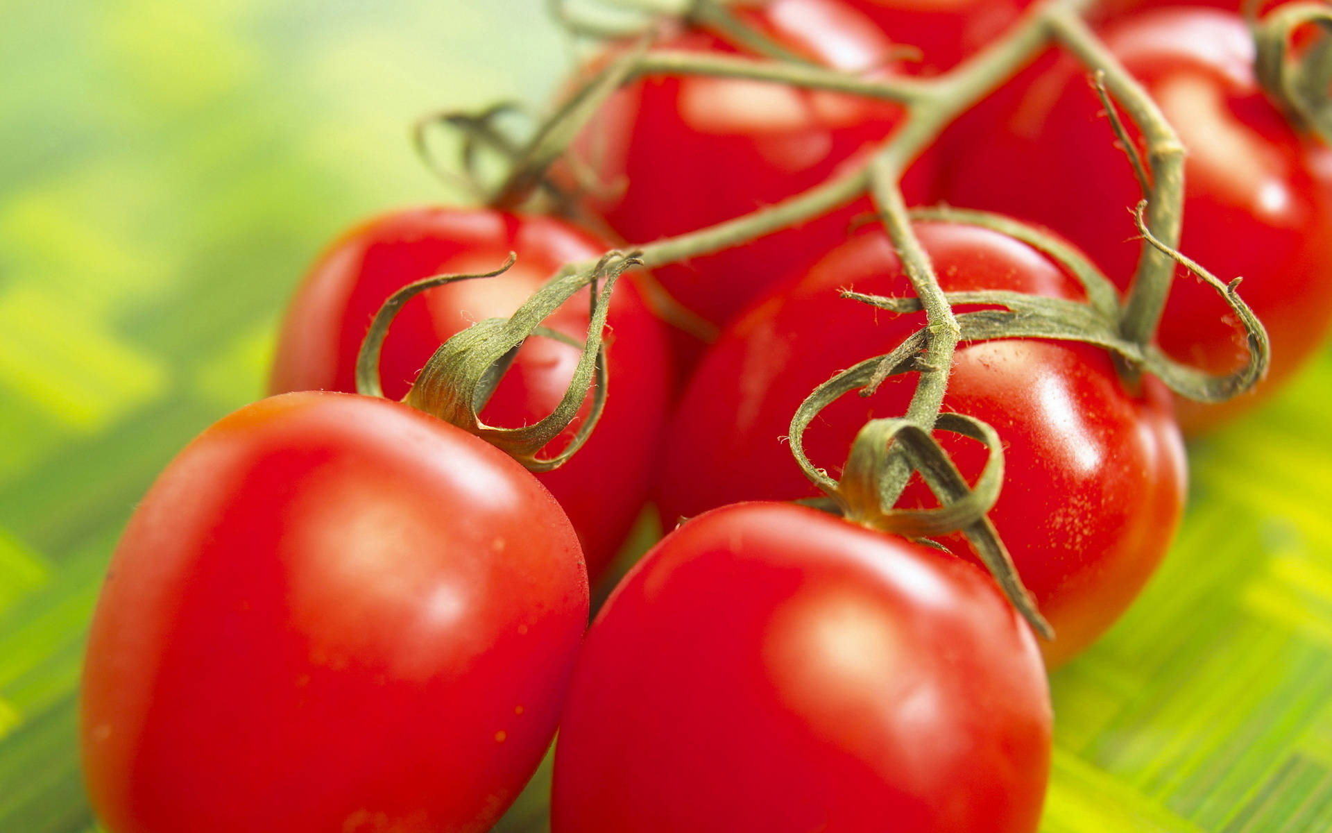 Shiny Clustered Red Tomato Fruits Background