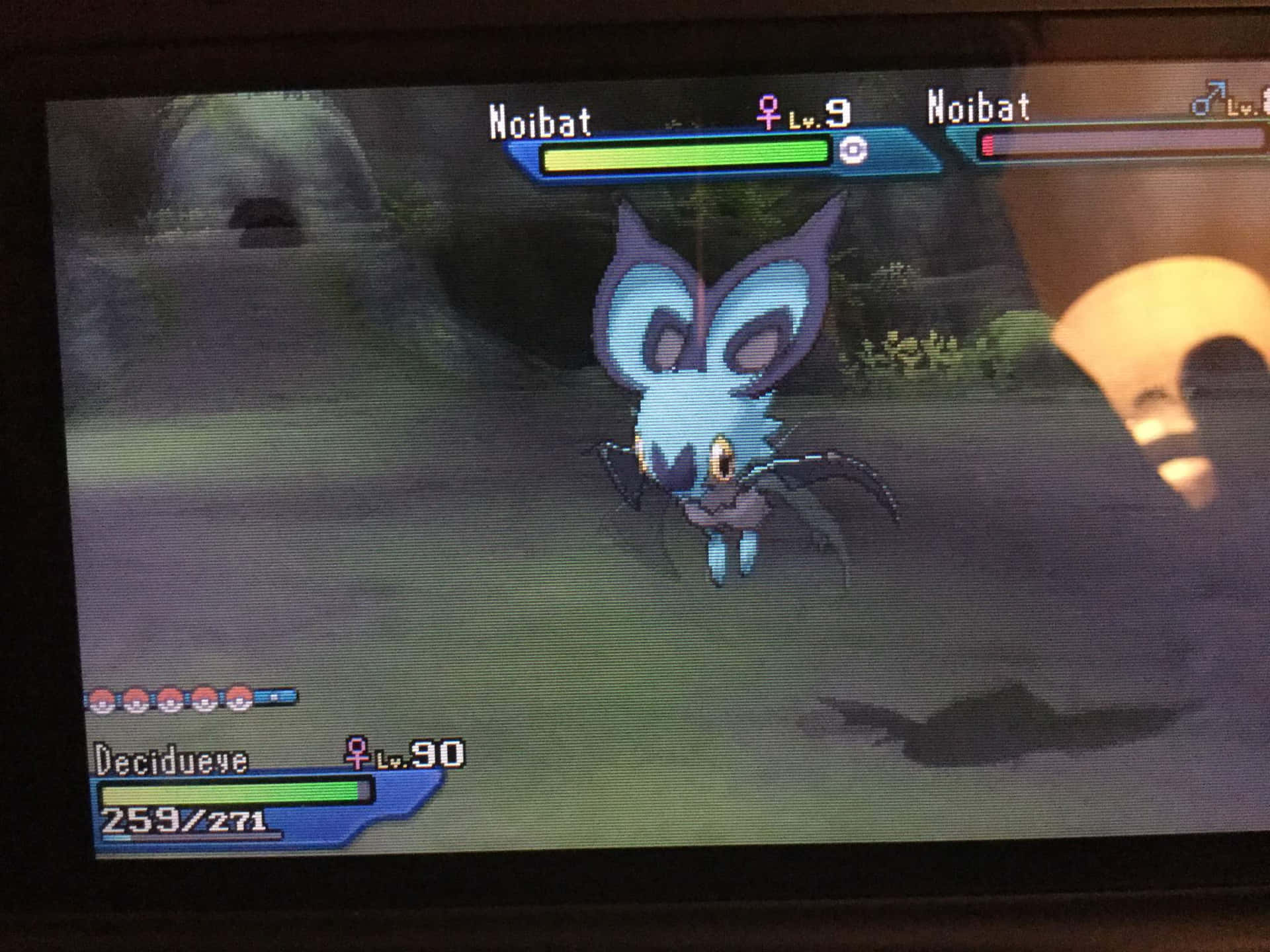 Shiny Noibat In Pokémon Game