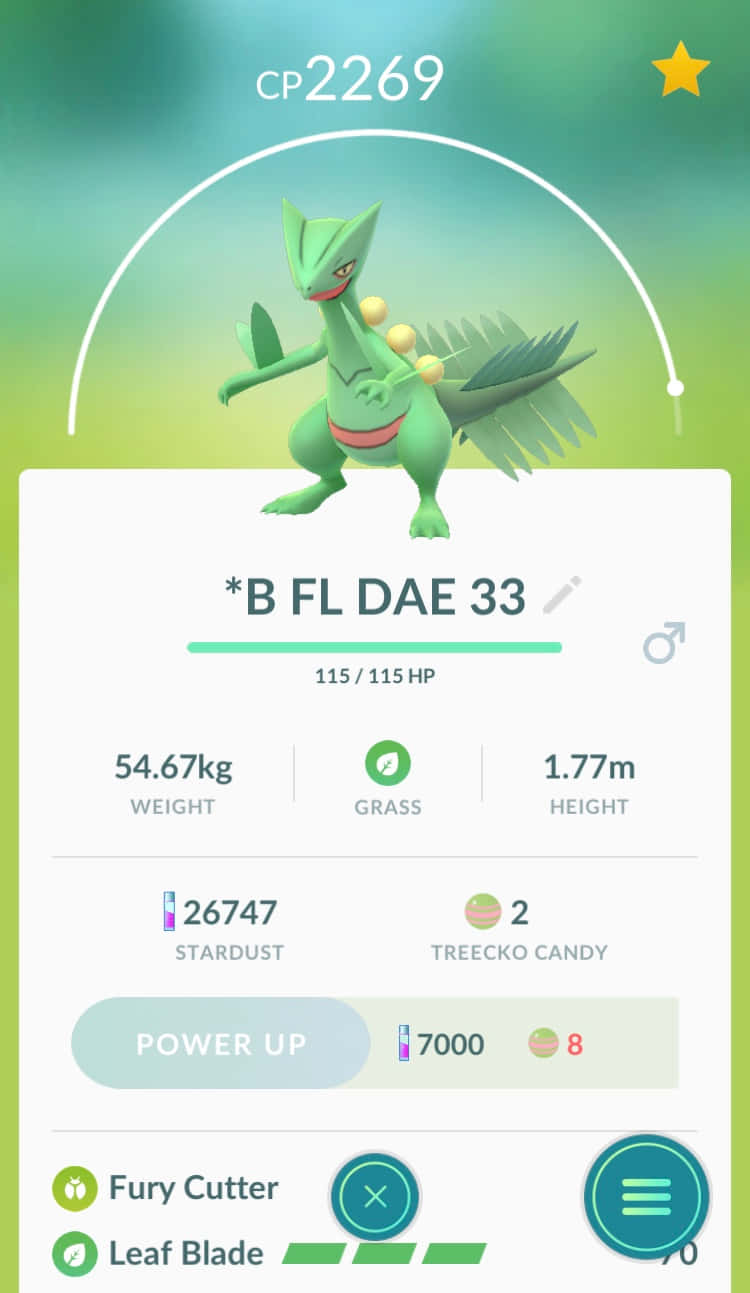 Shiny Sceptile Pokemon G O Stats Background