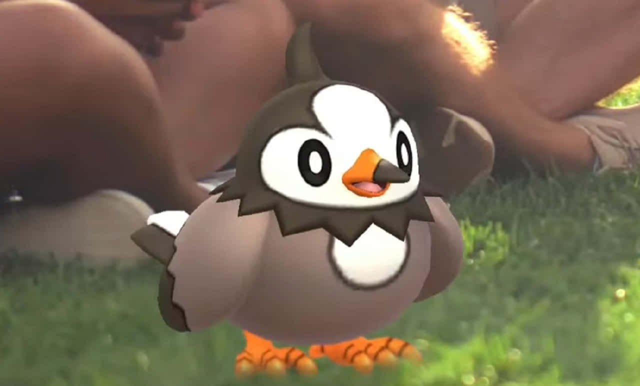 Shiny Starly In Grass Background