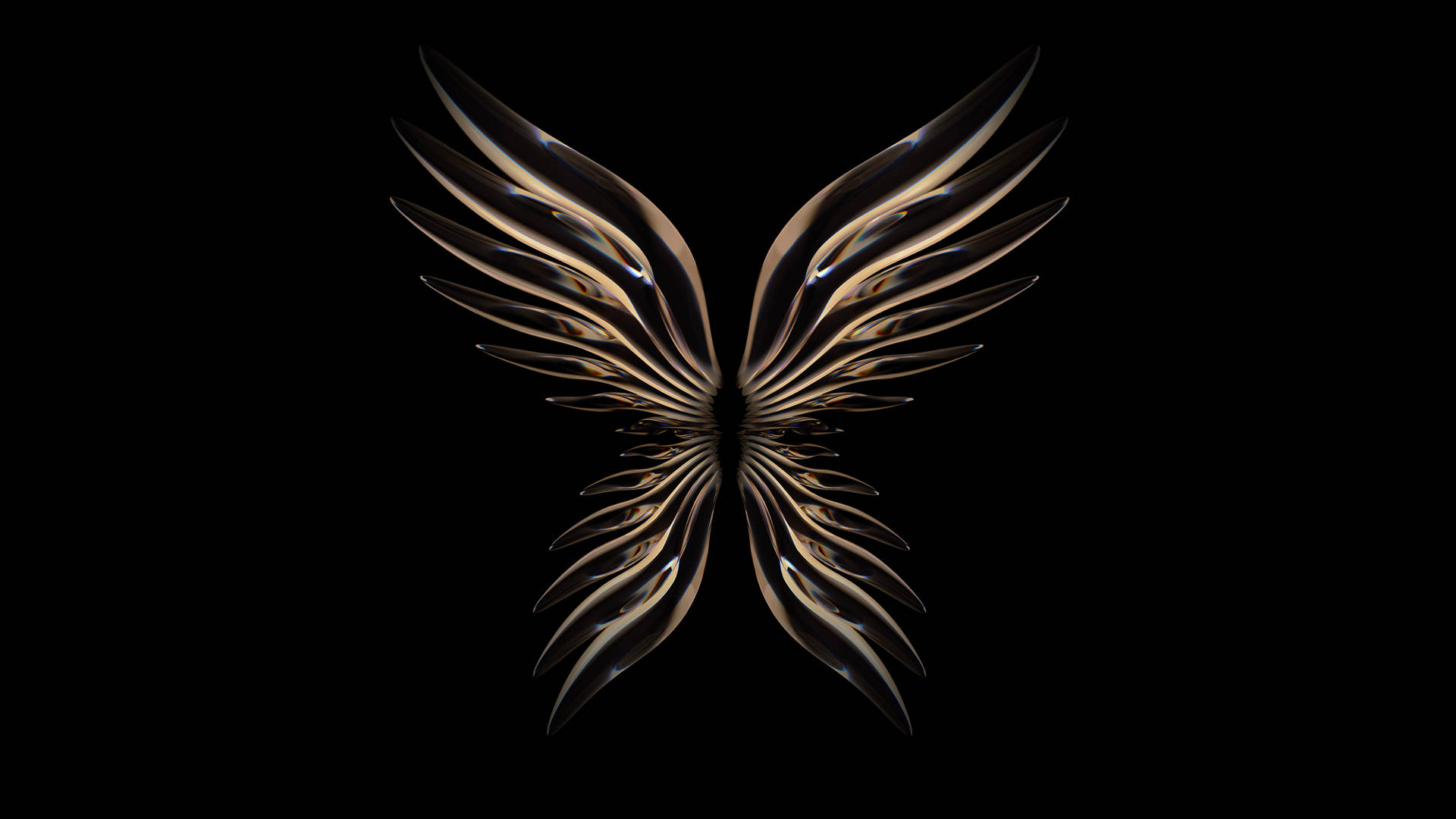 Shiny Wings Black Art Background