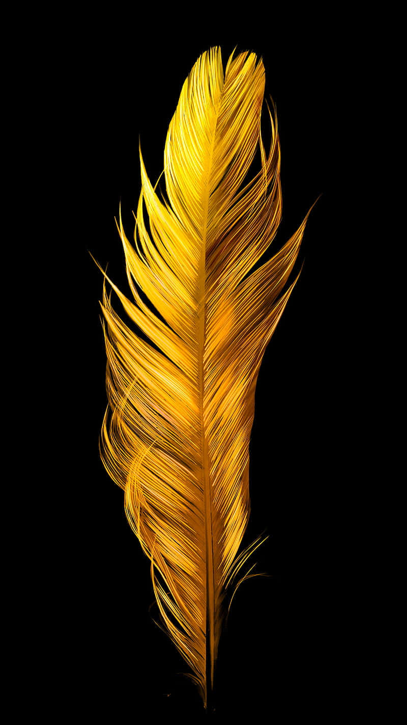 Shiny Yellow Feathers Background
