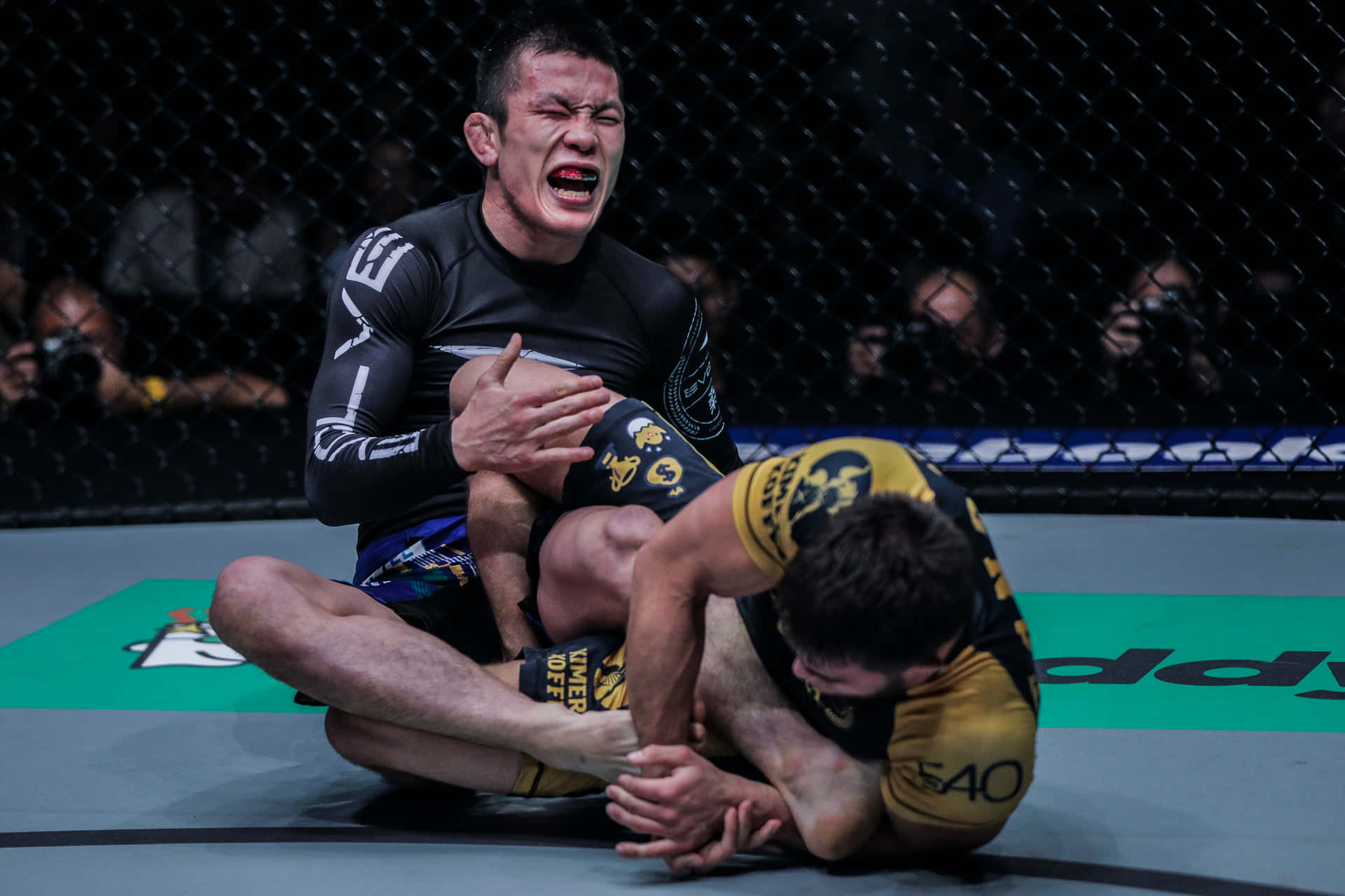 Shinya Aoki Ankle Lock Garry Tonon Background