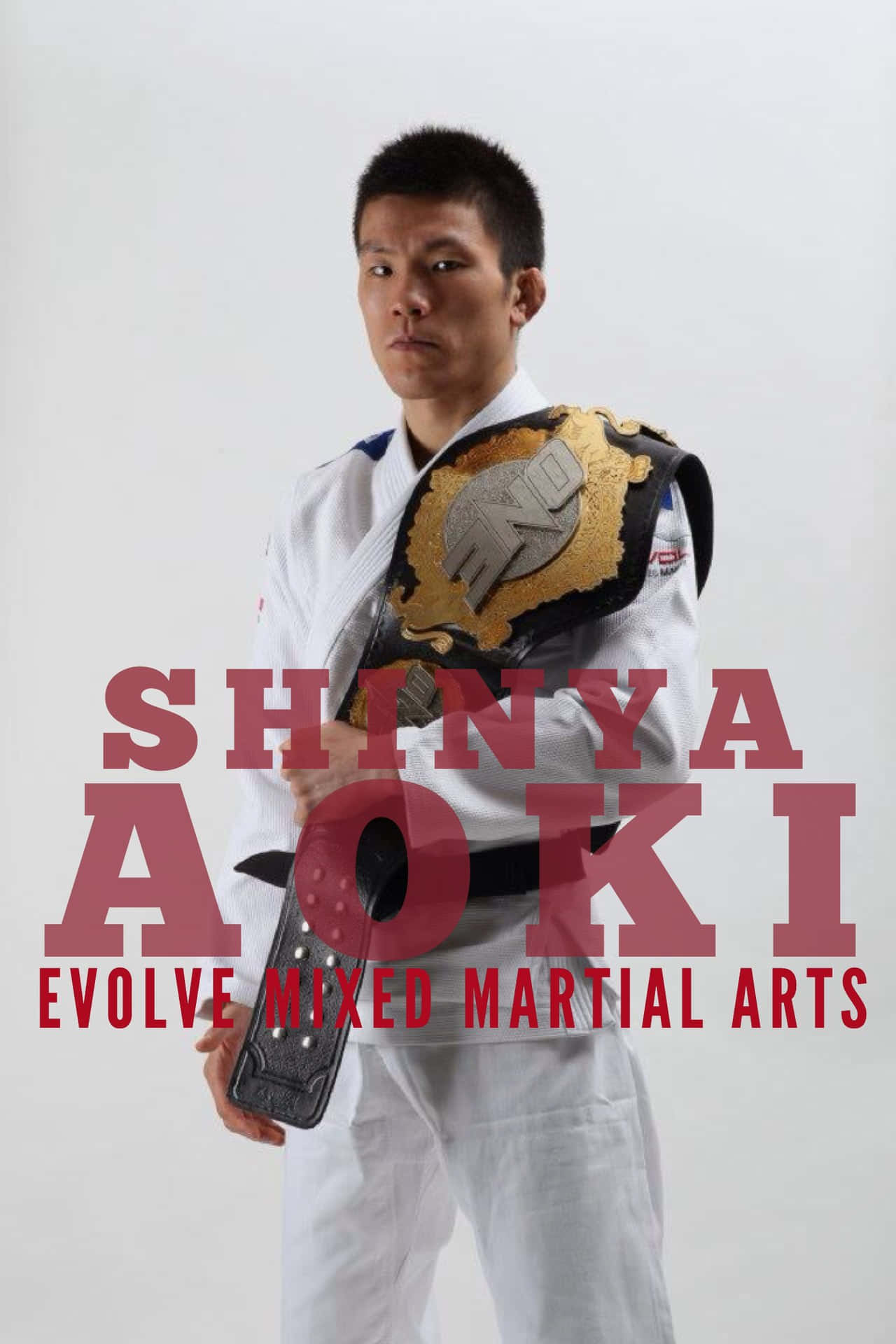 Shinya Aoki Evolve Mixed Martial Arts Poster Background