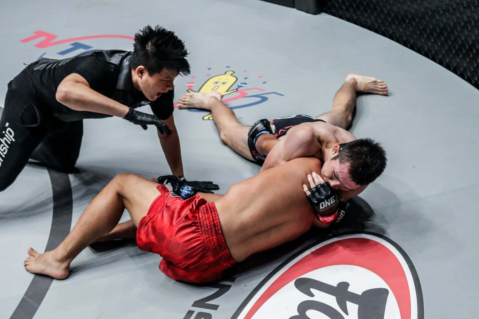 Shinya Aoki Grappling Down James Nakashima Background