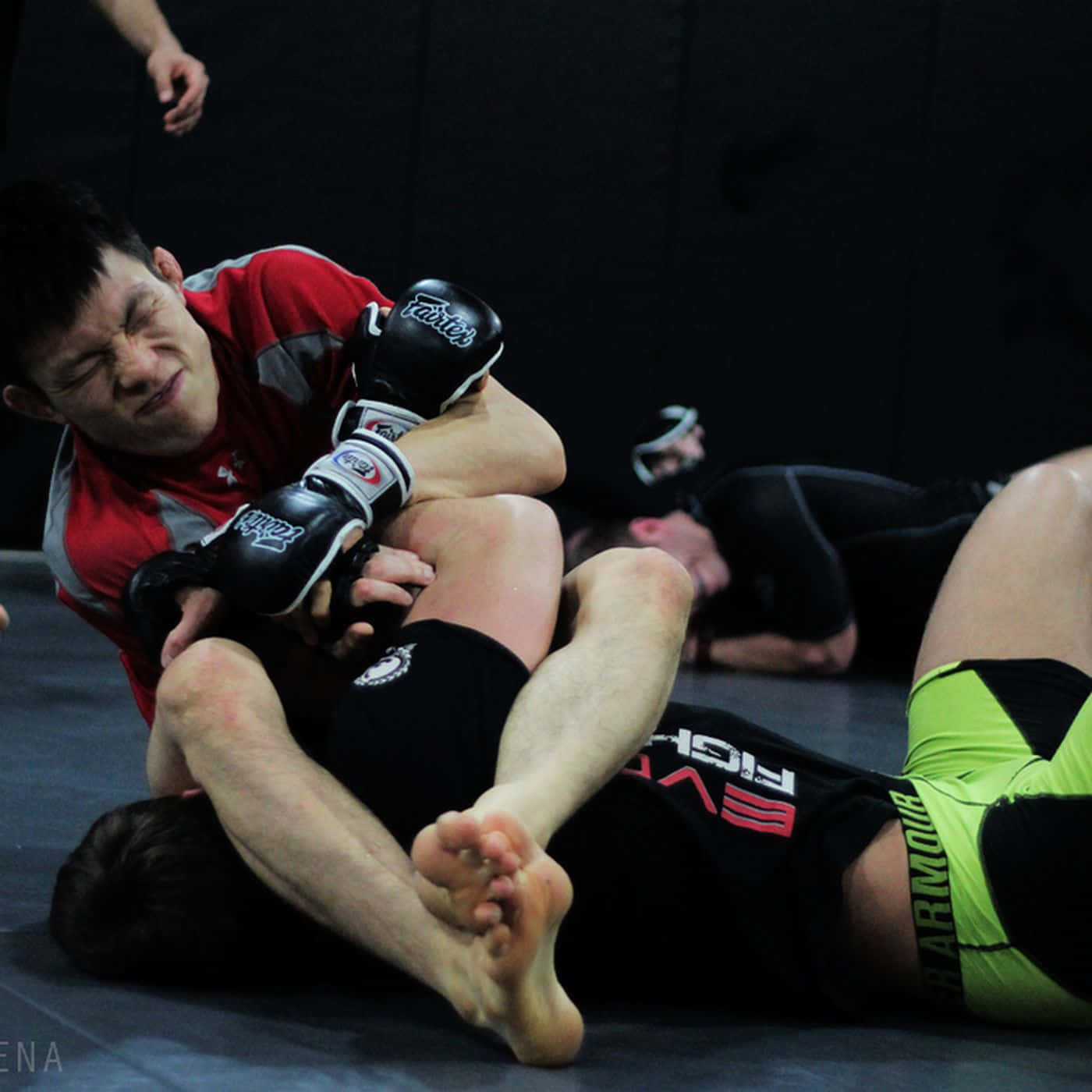 Shinya Aoki Jiu-jitsu Traps Opponent Background