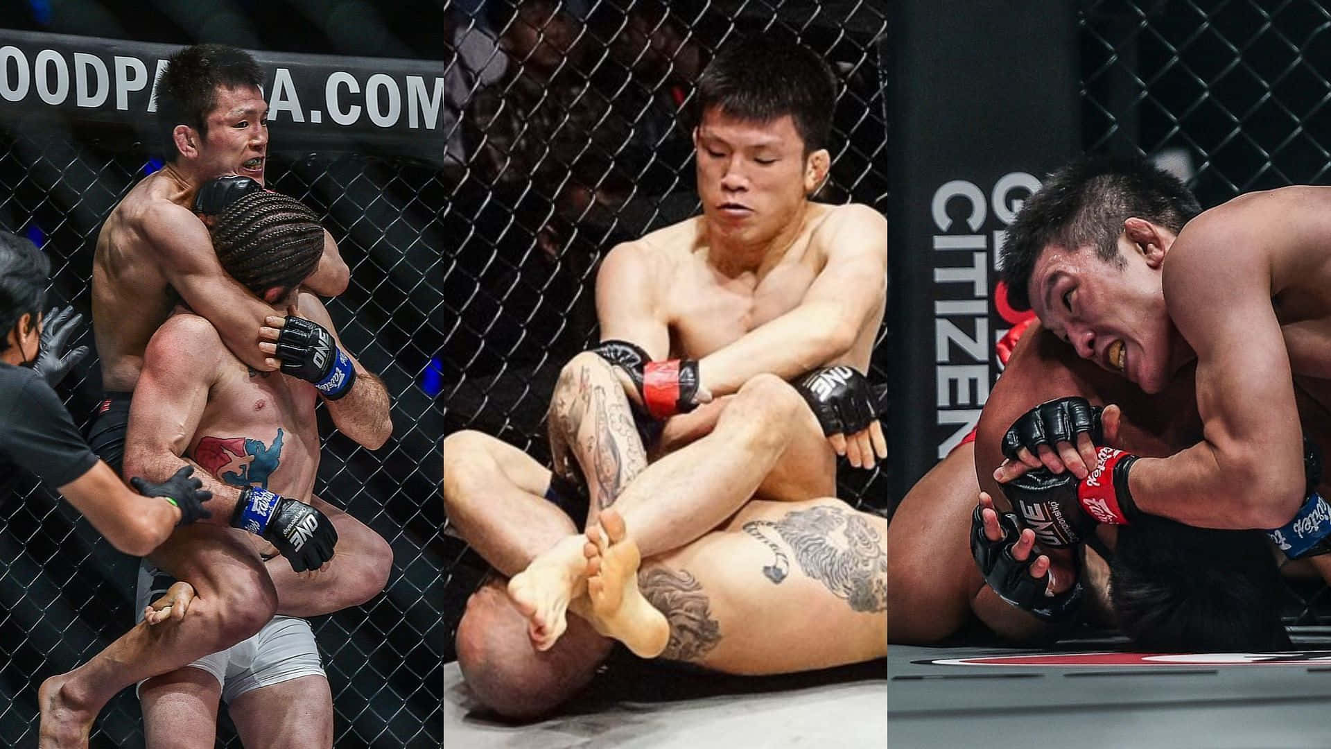 Shinya Aoki One Championship Fights Compilation Background