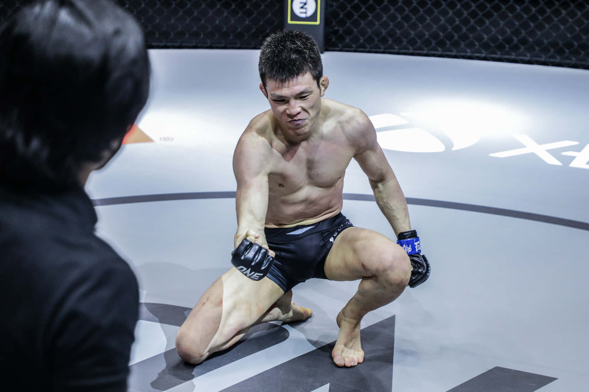 Shinya Aoki Pressure Fist Kneel Down Background