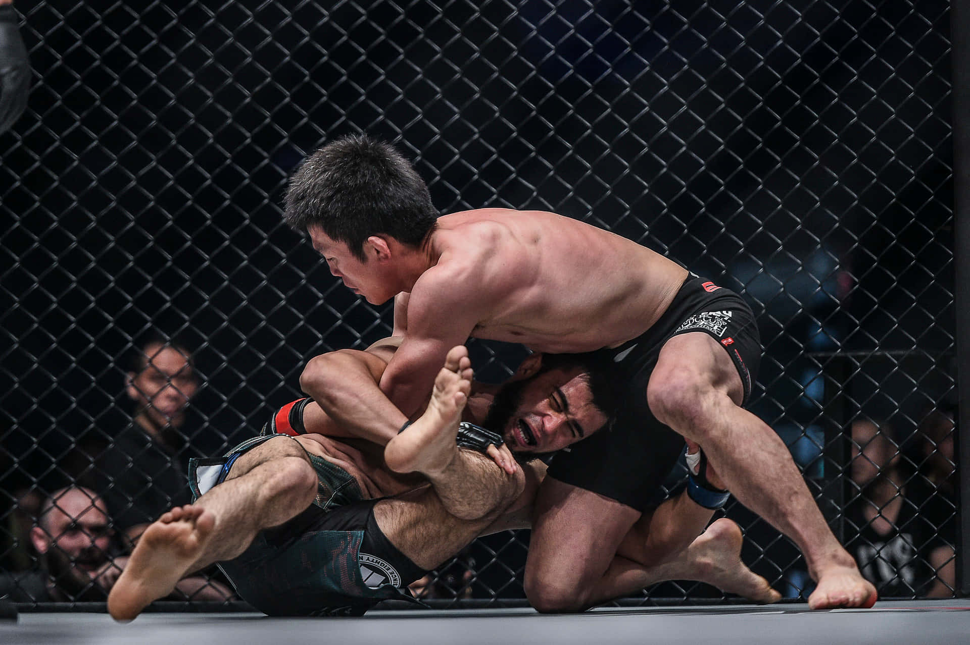 Shinya Aoki Trapping Opponent One Championship Background