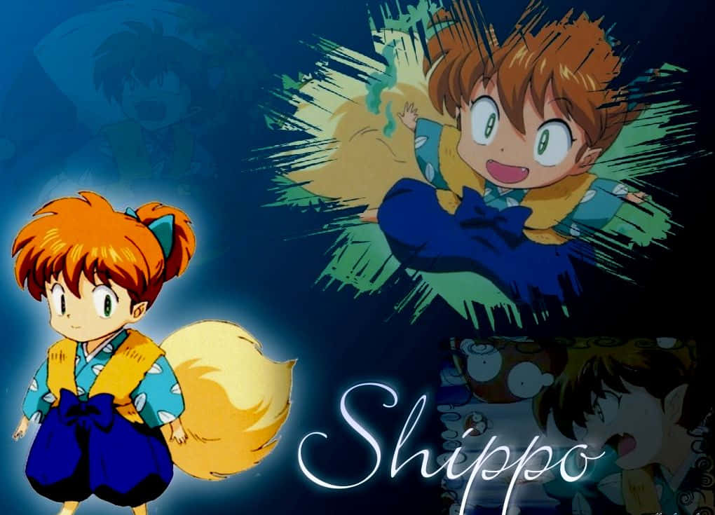 Shippo Courier Shipping Services