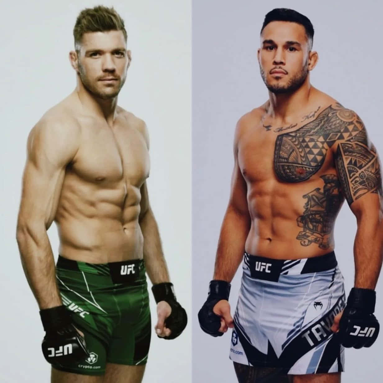 Shirtless Brad Tavares Background