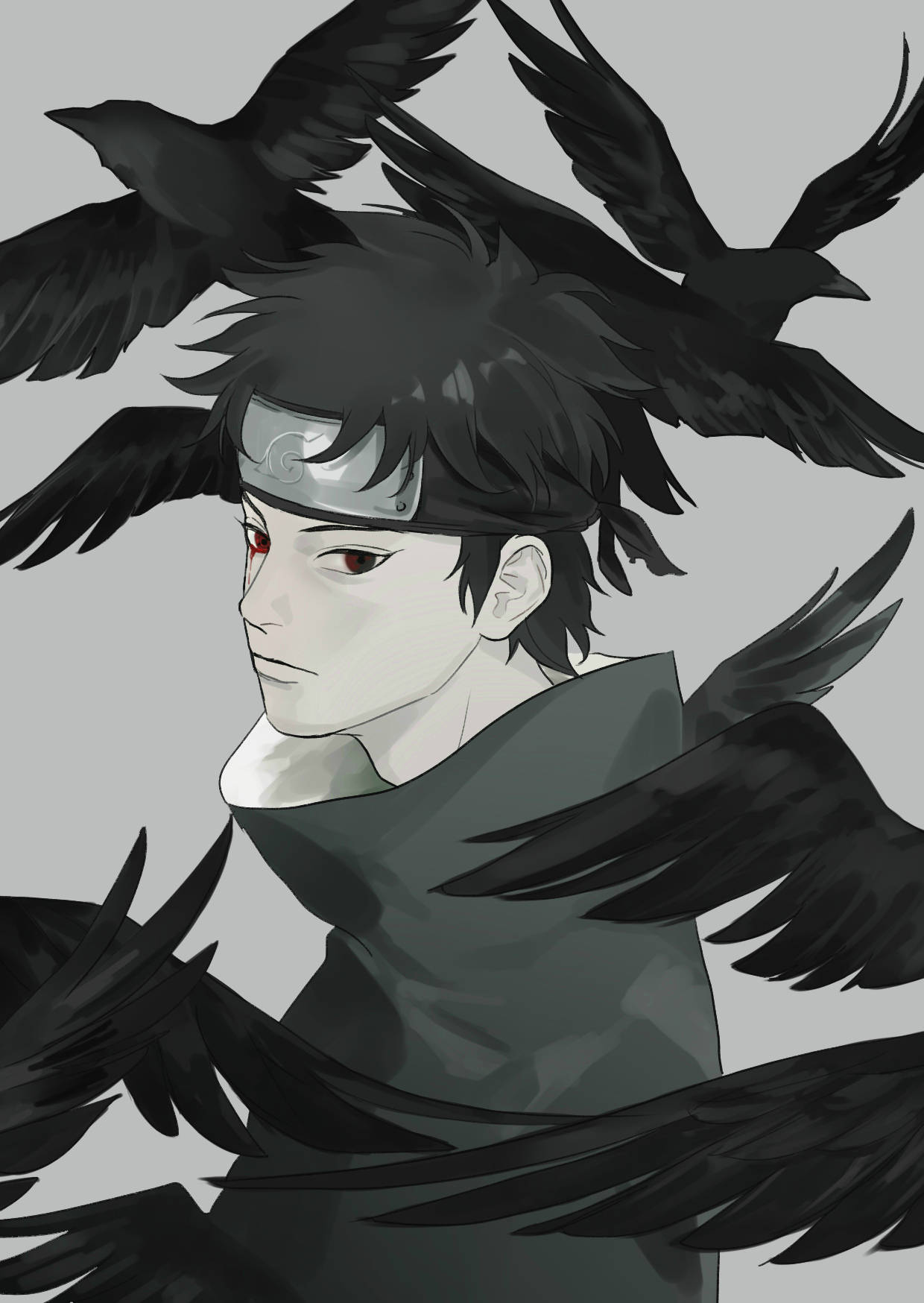 Shisui With Black Crows Background
