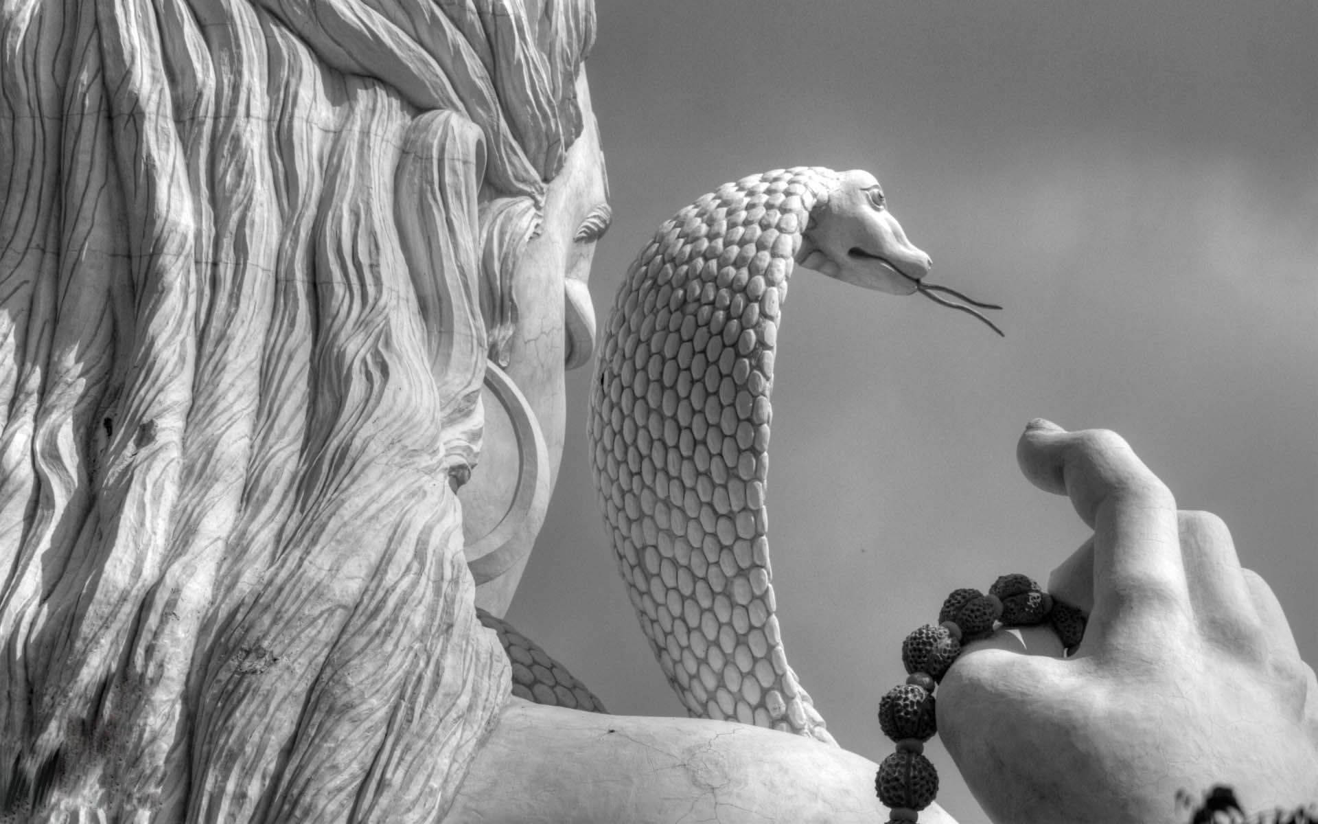 Shiv Tandav White Aesthetic Shiva And Snake