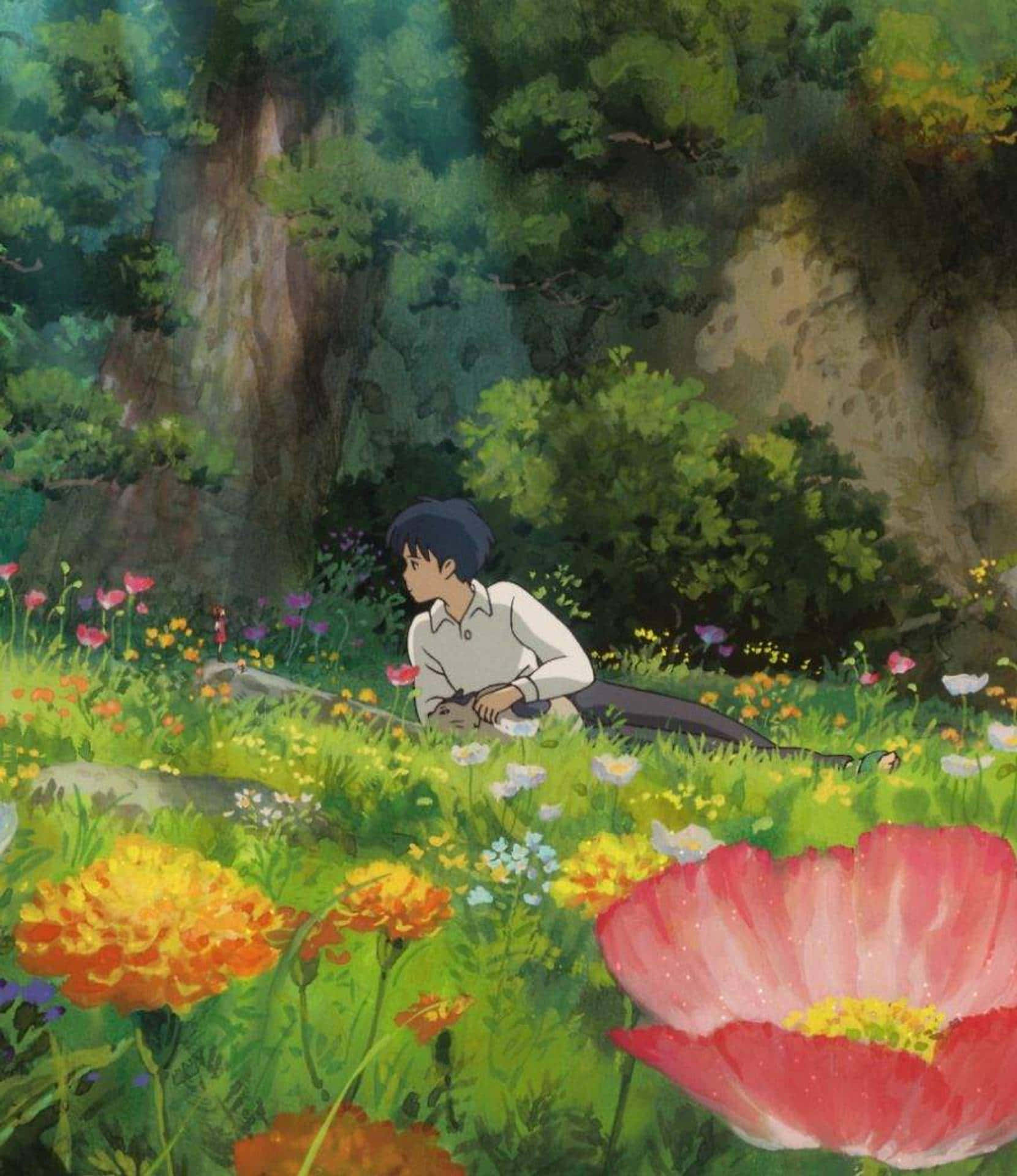 Sho Studio Ghibli Phone Background