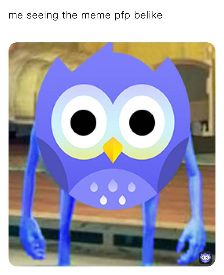 Shocked Owl Meme Pfp Background