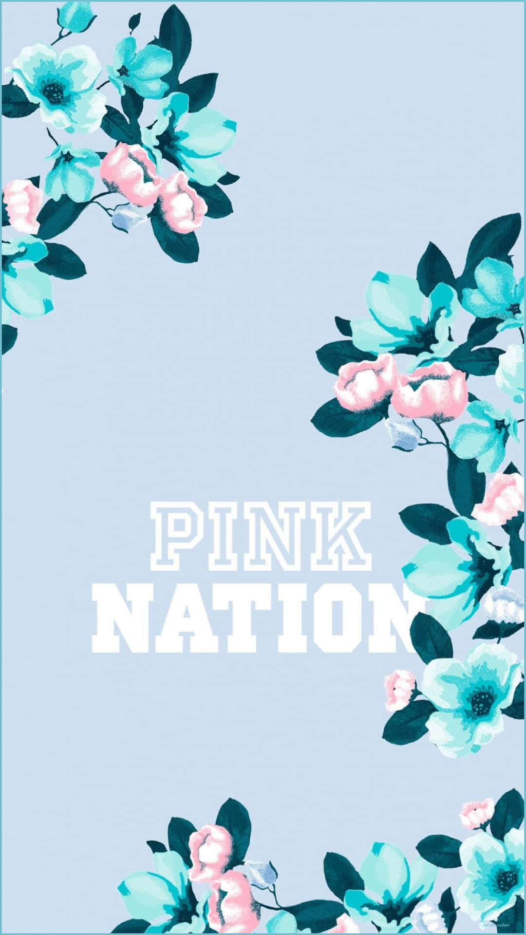 Shop The Latest Fashions With Pink Nation Background