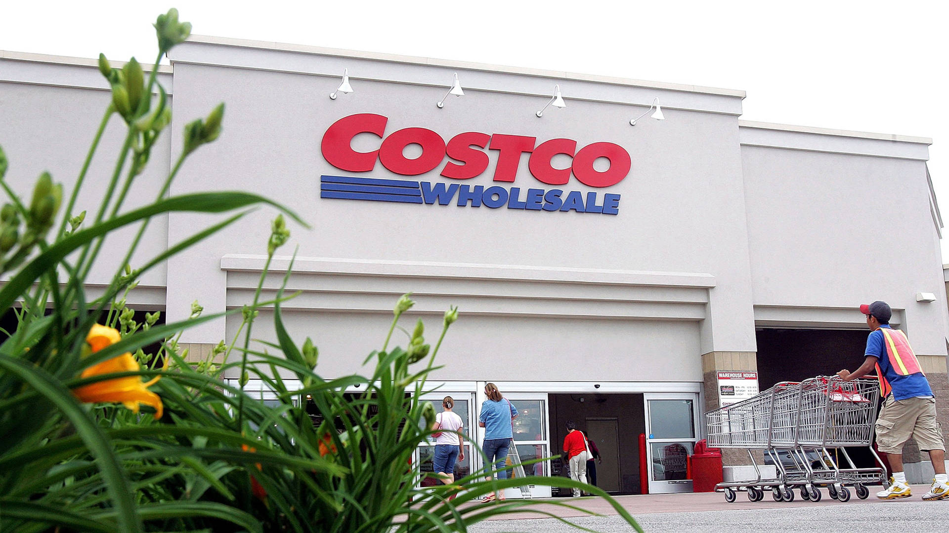 Shoppers Going Inside Costco Wholesale Background