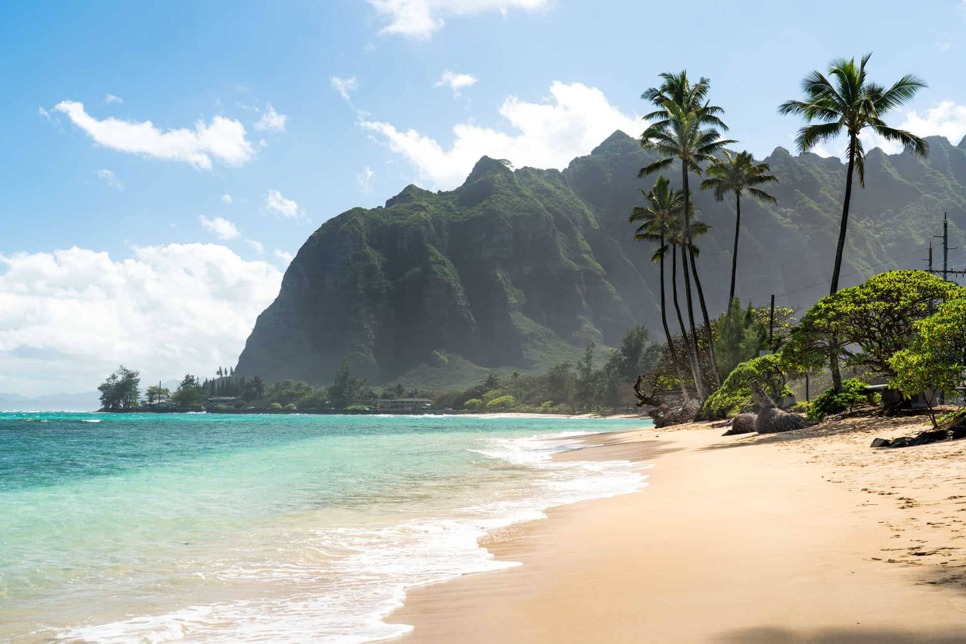 Shore Of Oahu Beach Background