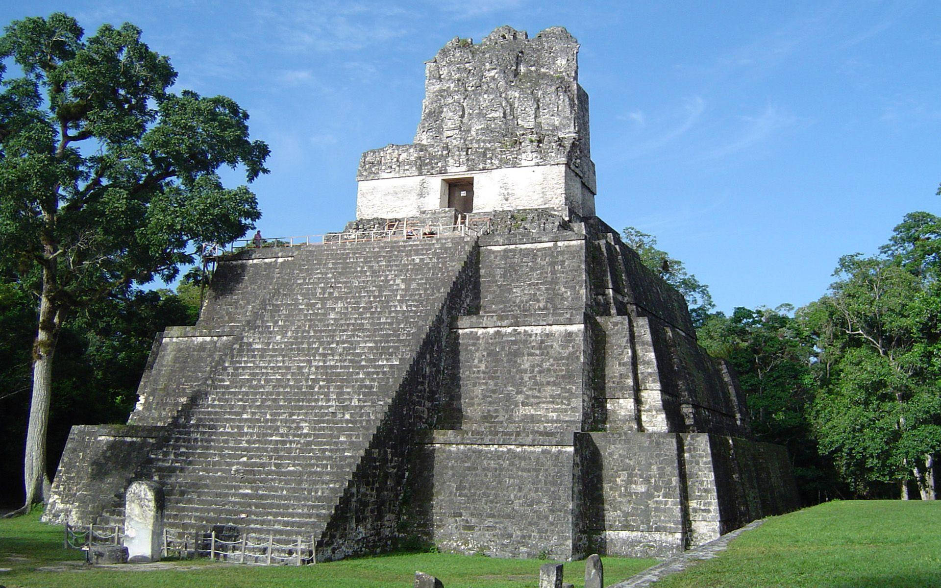 Short Tikal Pyramid Background