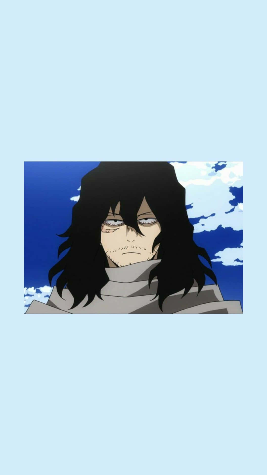 Shota Aizawa, Pro Hero
