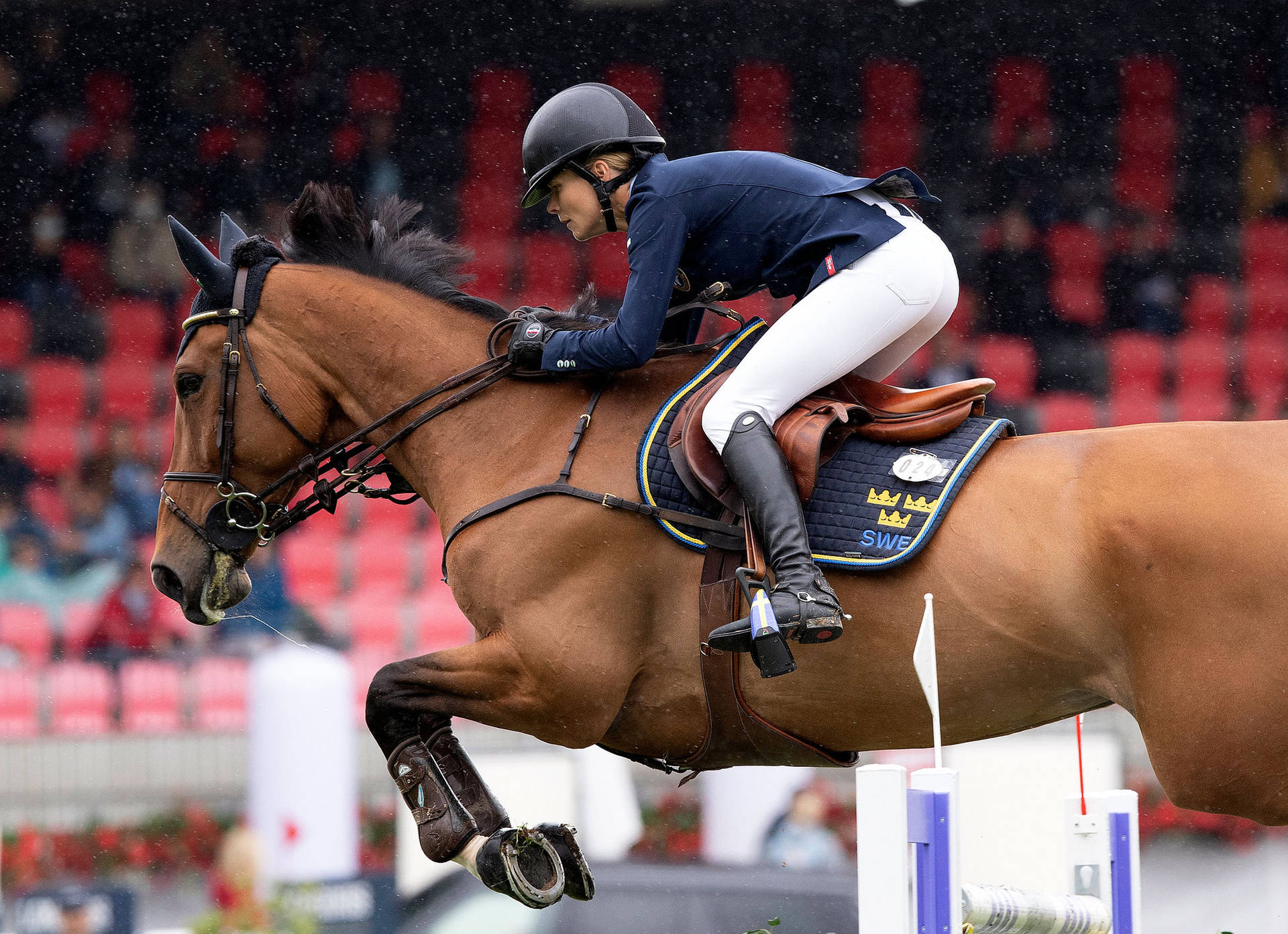 Show Jumping Match Malin Baryard Johnsson Equestrian Background